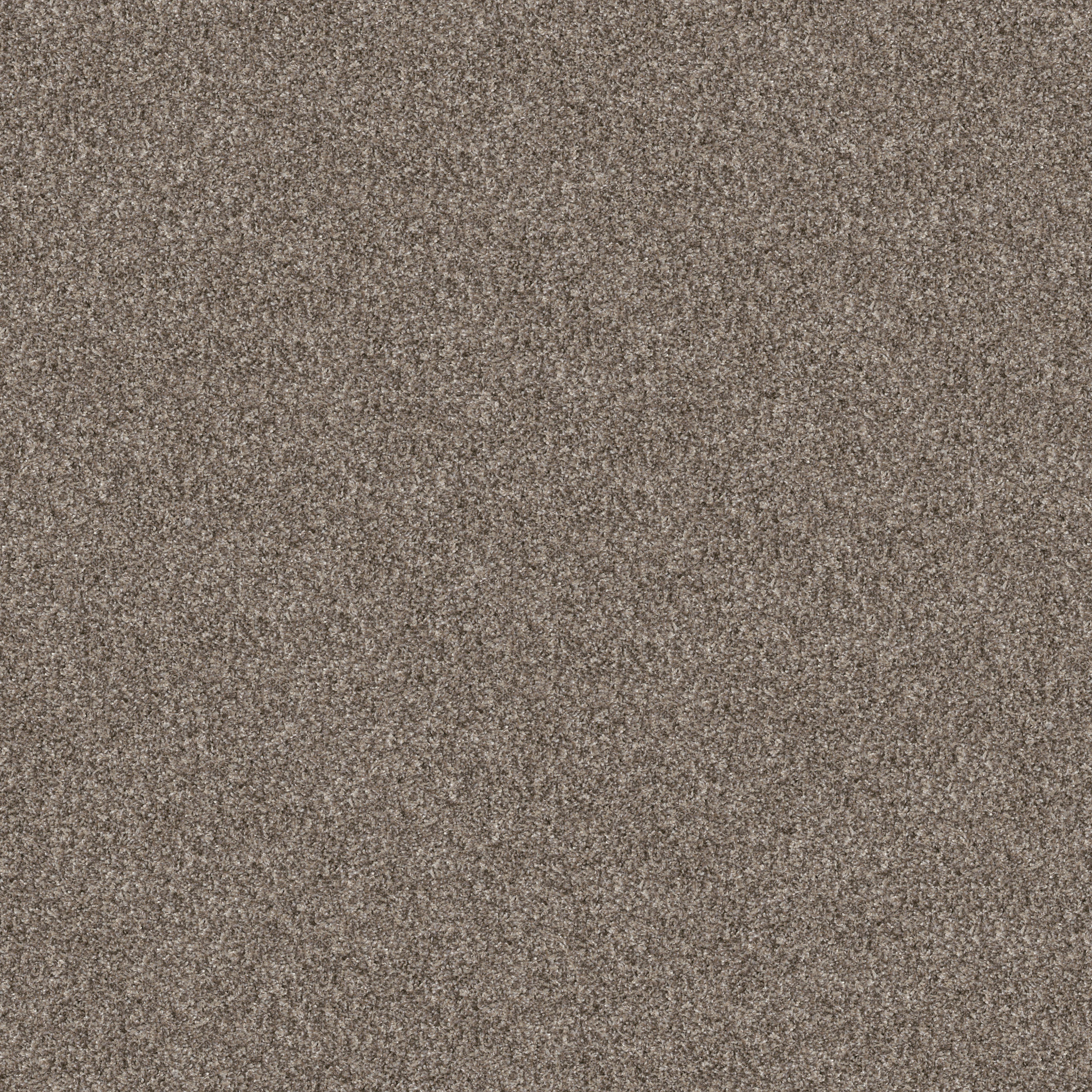Gable Point I 15-Soft Sense-HGR94_00112