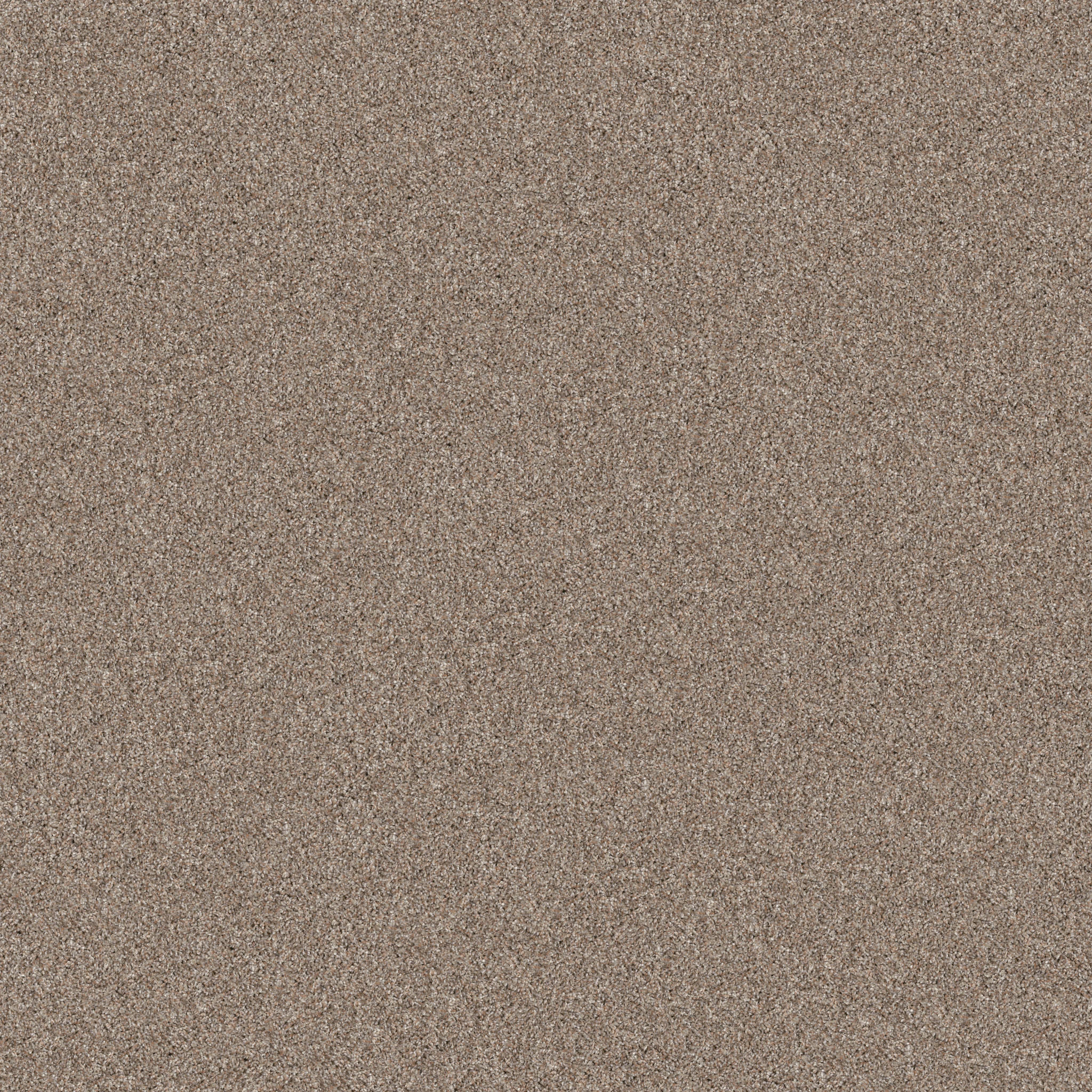 Gable Point I 15-Subtle Clay-HGR94_00114
