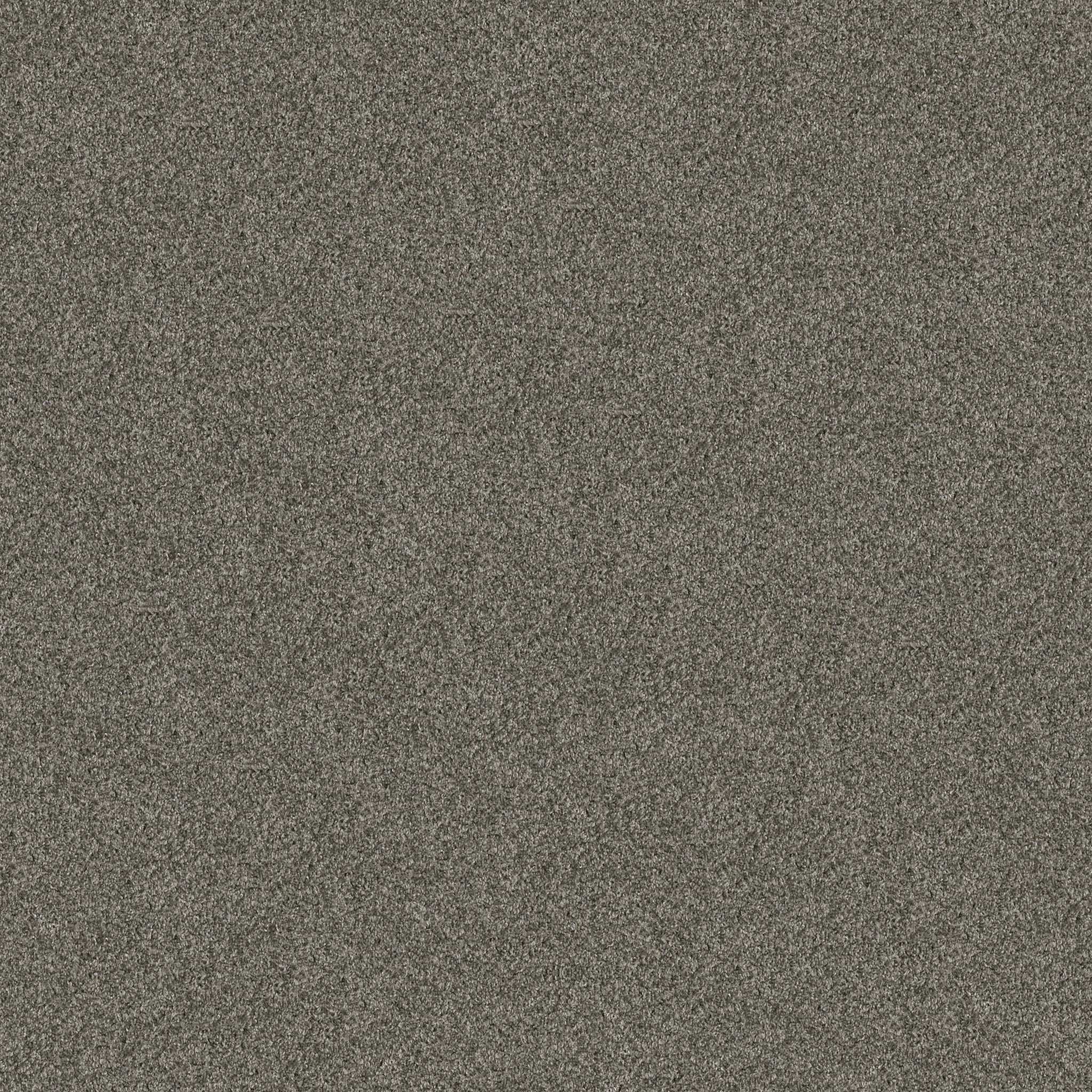 Gable Point I 15 - Rerooted Nature - HGR94_00300