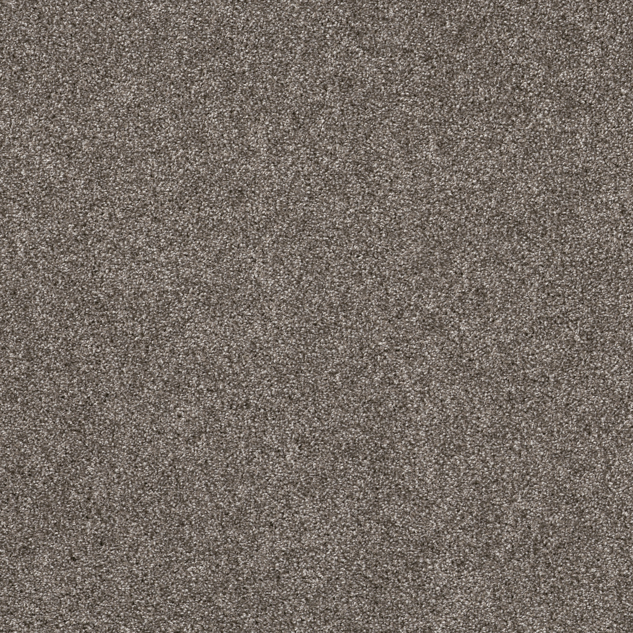 Gable Point I 15-Ashes-HGR94_00501