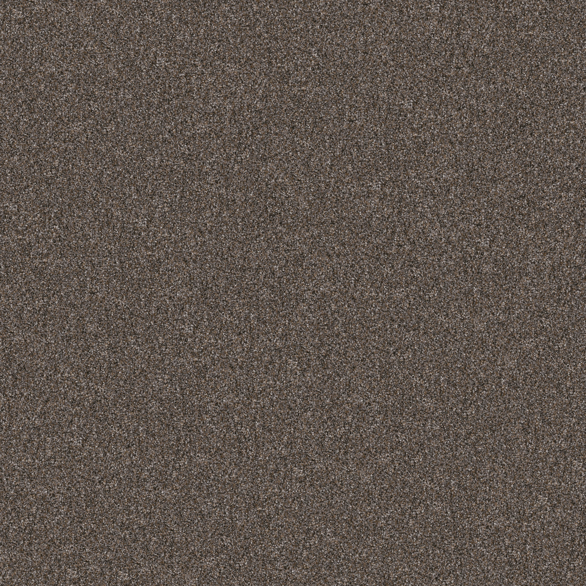 Gable Point I 15-Cafe Noir-HGR94_00706