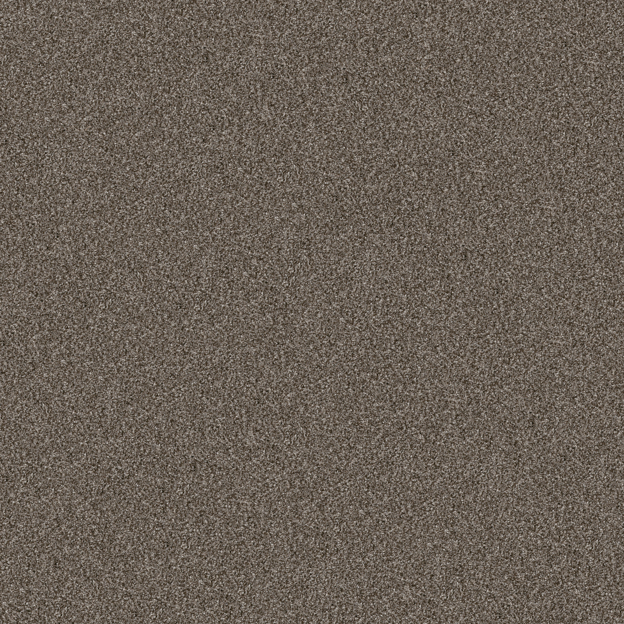Gable Point I 15-Urban Rustic-HGR94_00708