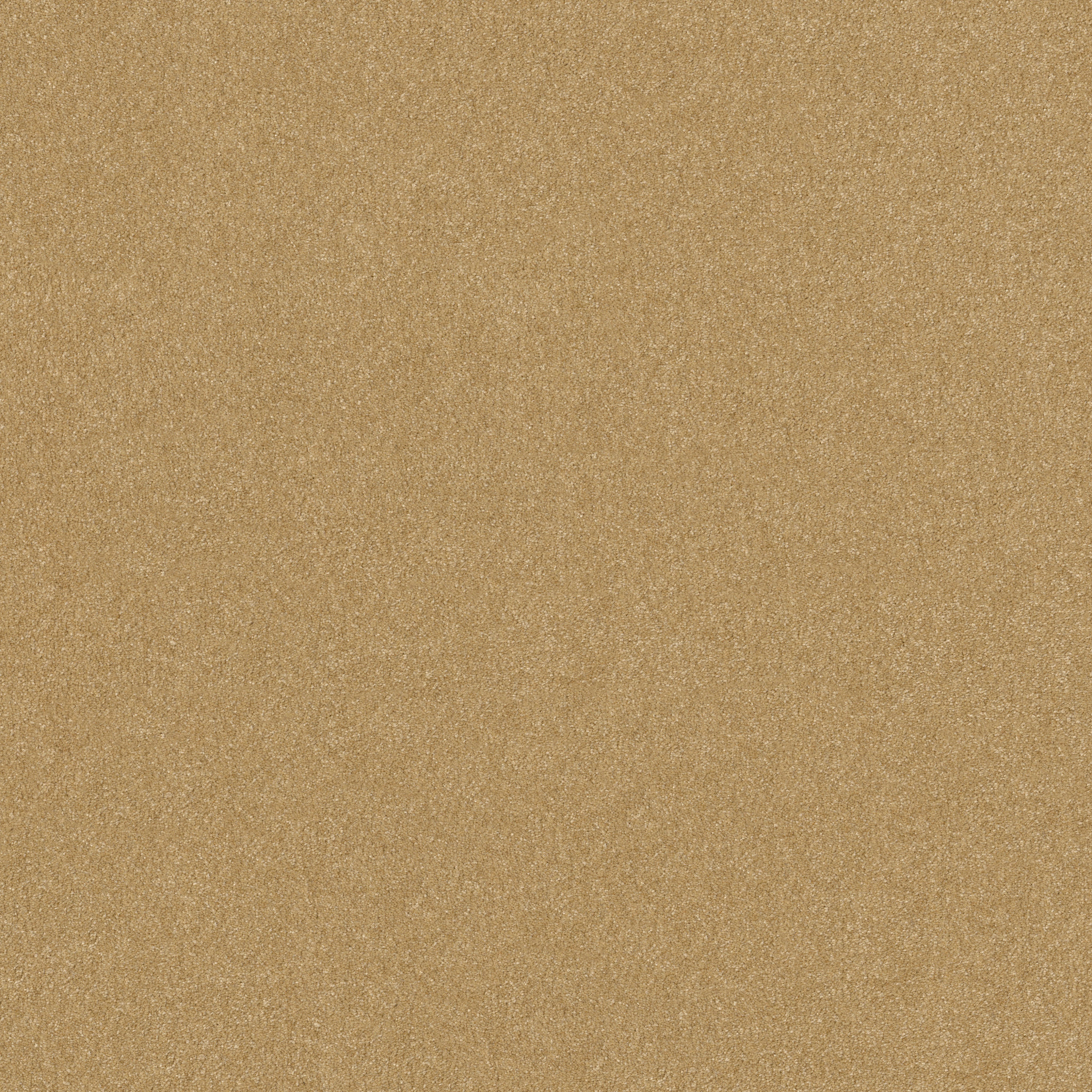 Lora Point I 15' - Honeycomb - HGR98_00207