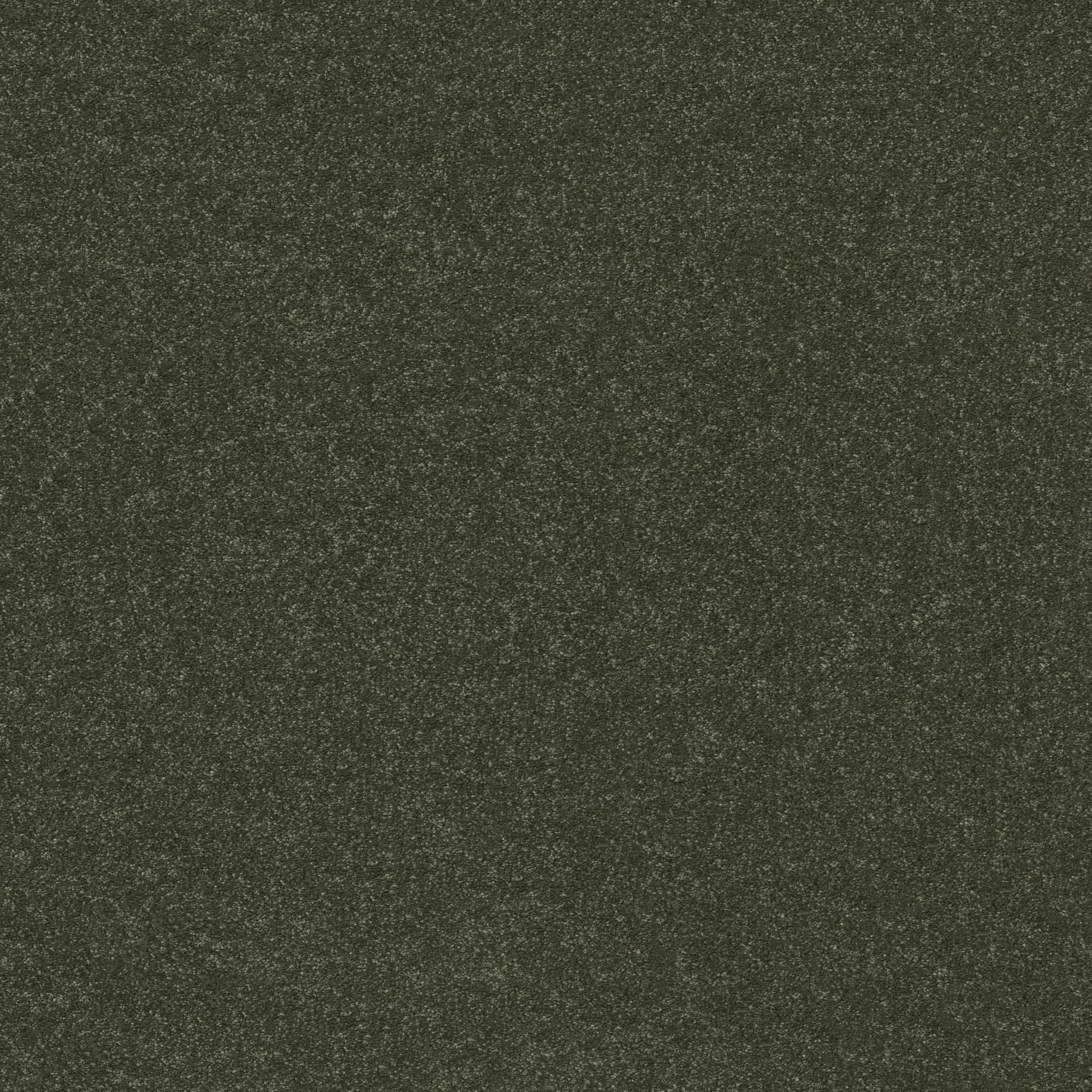 Lora Point I 15' - Rerooted Nature - HGR98_00300