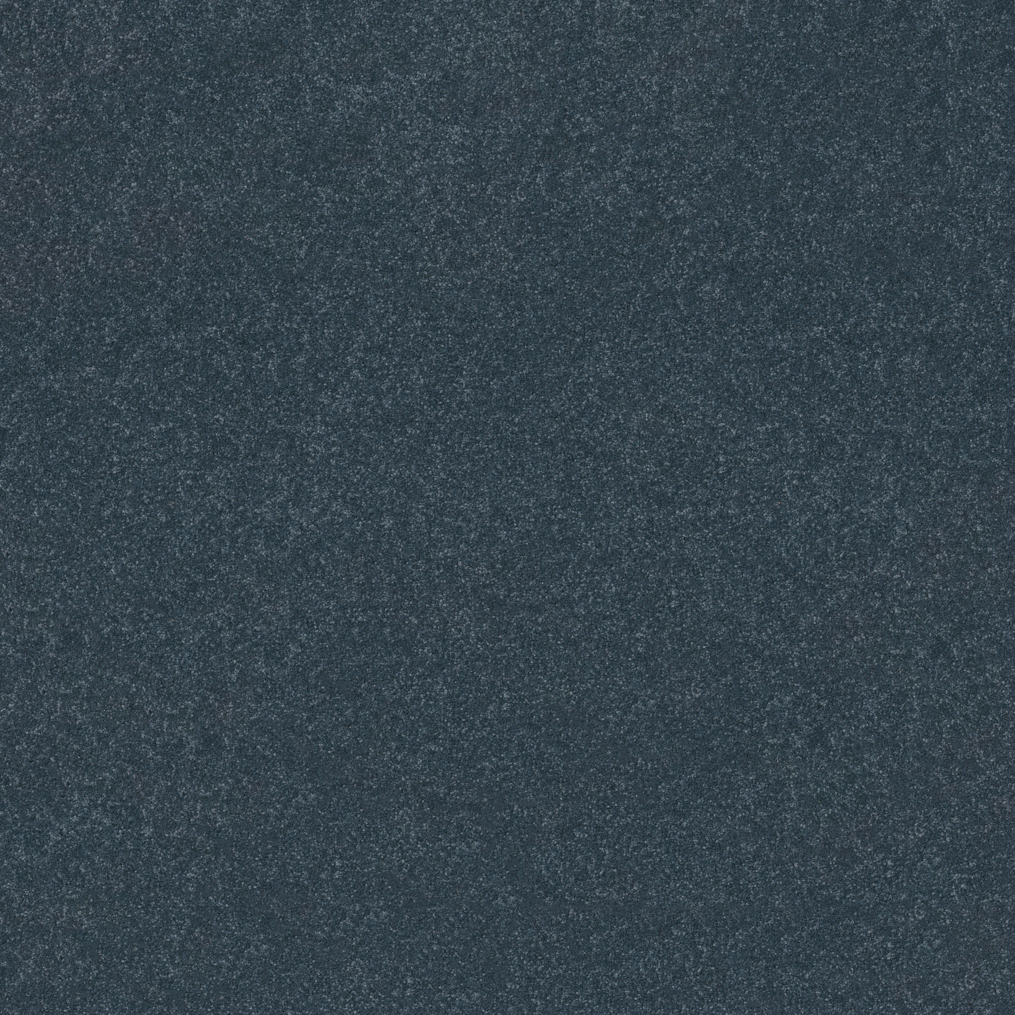 Lora Point II 12 - Refined - HGR99_00402