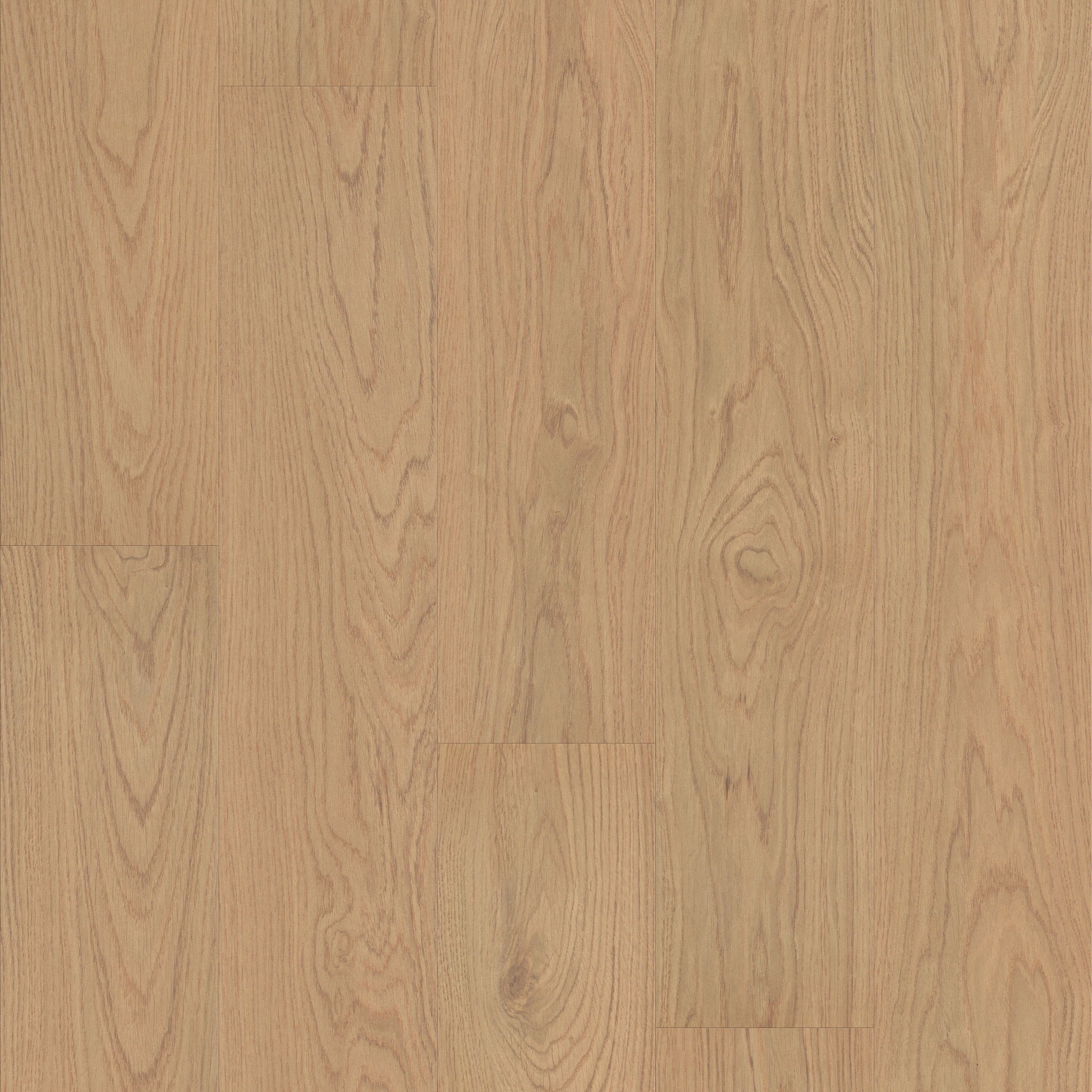 Forge-Almond Beige-HL119_02038