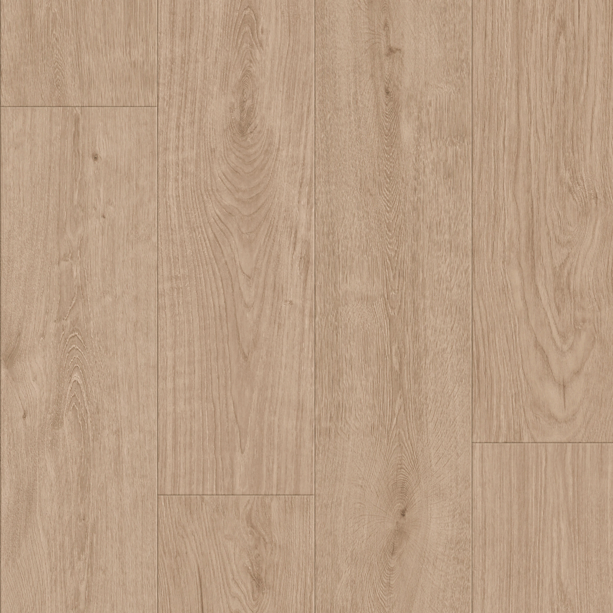 Ashmore-Butterscotch-HL123_02218