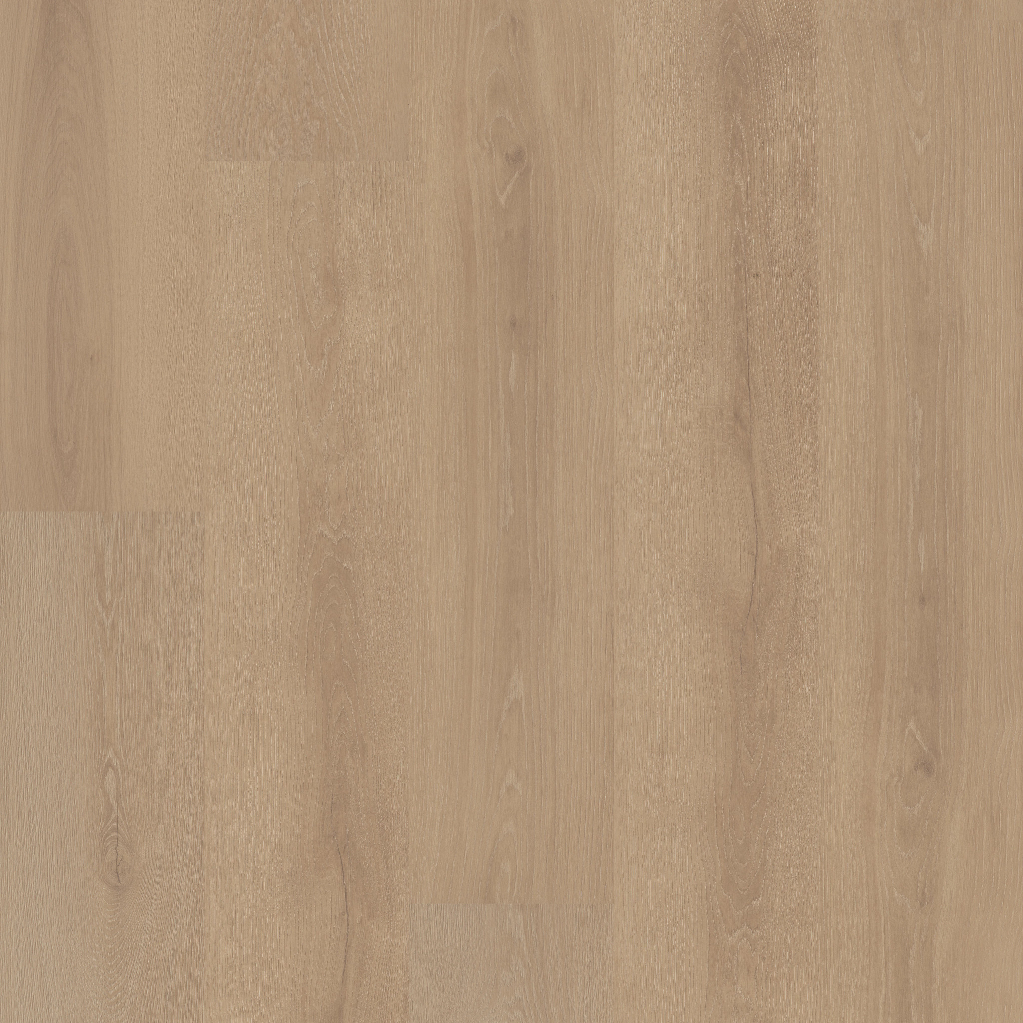 Ashmore-Copper Dune-HL123_02219