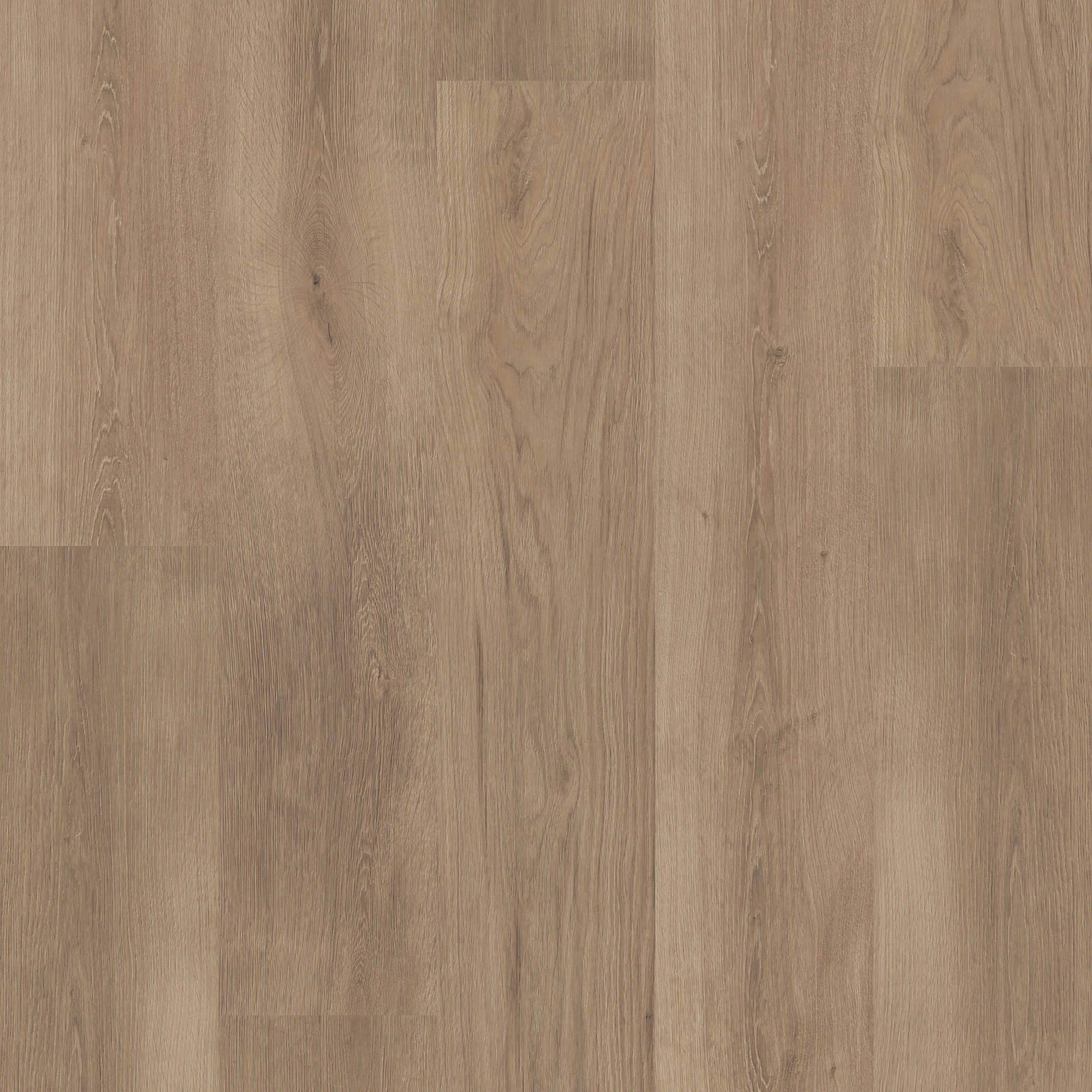 Ashmore-Smokey Taupe-HL123_07756