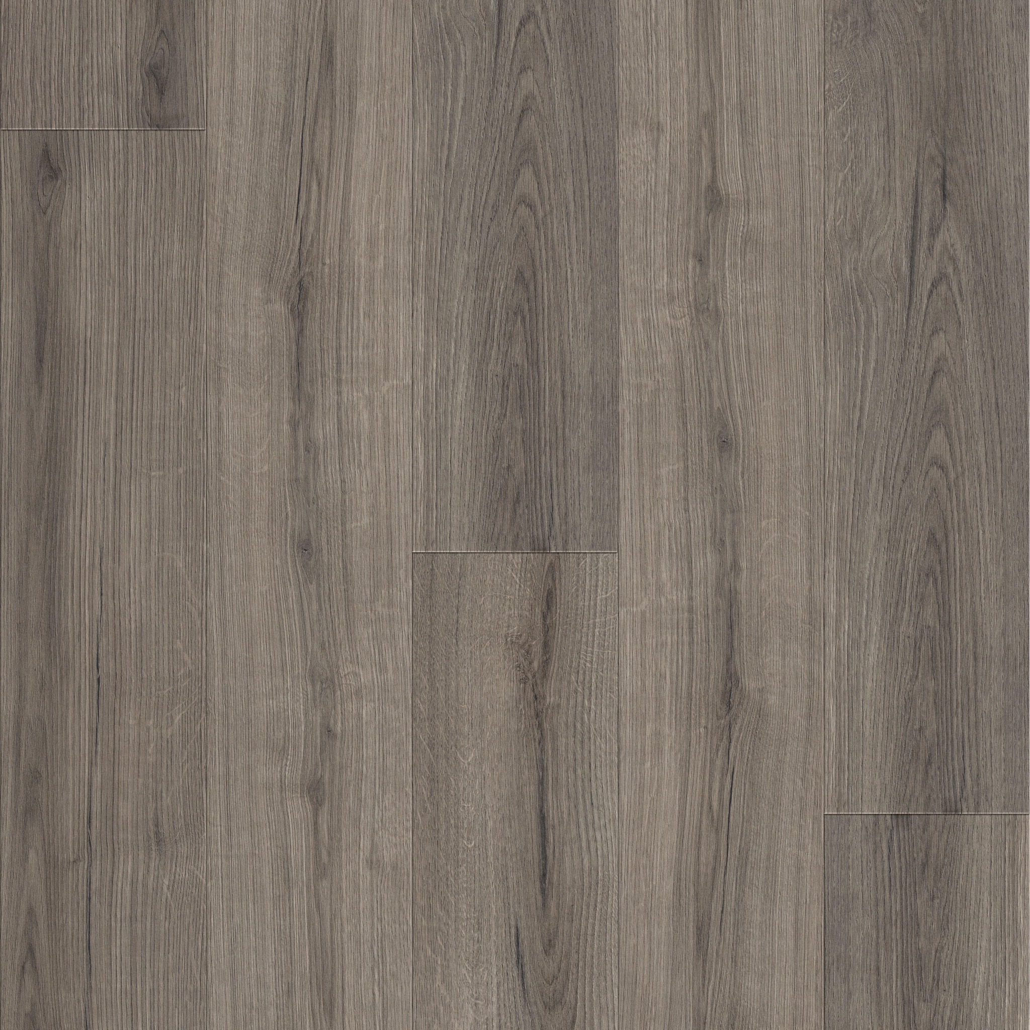 Emergence Plus - Kismet - HL444_05044