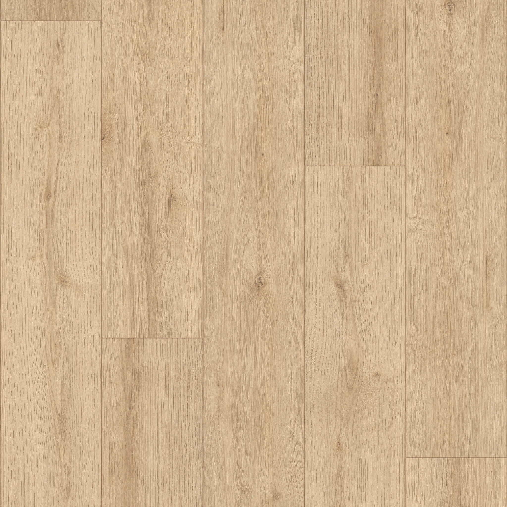 Emergence Plus-Blaze-HL444_07717