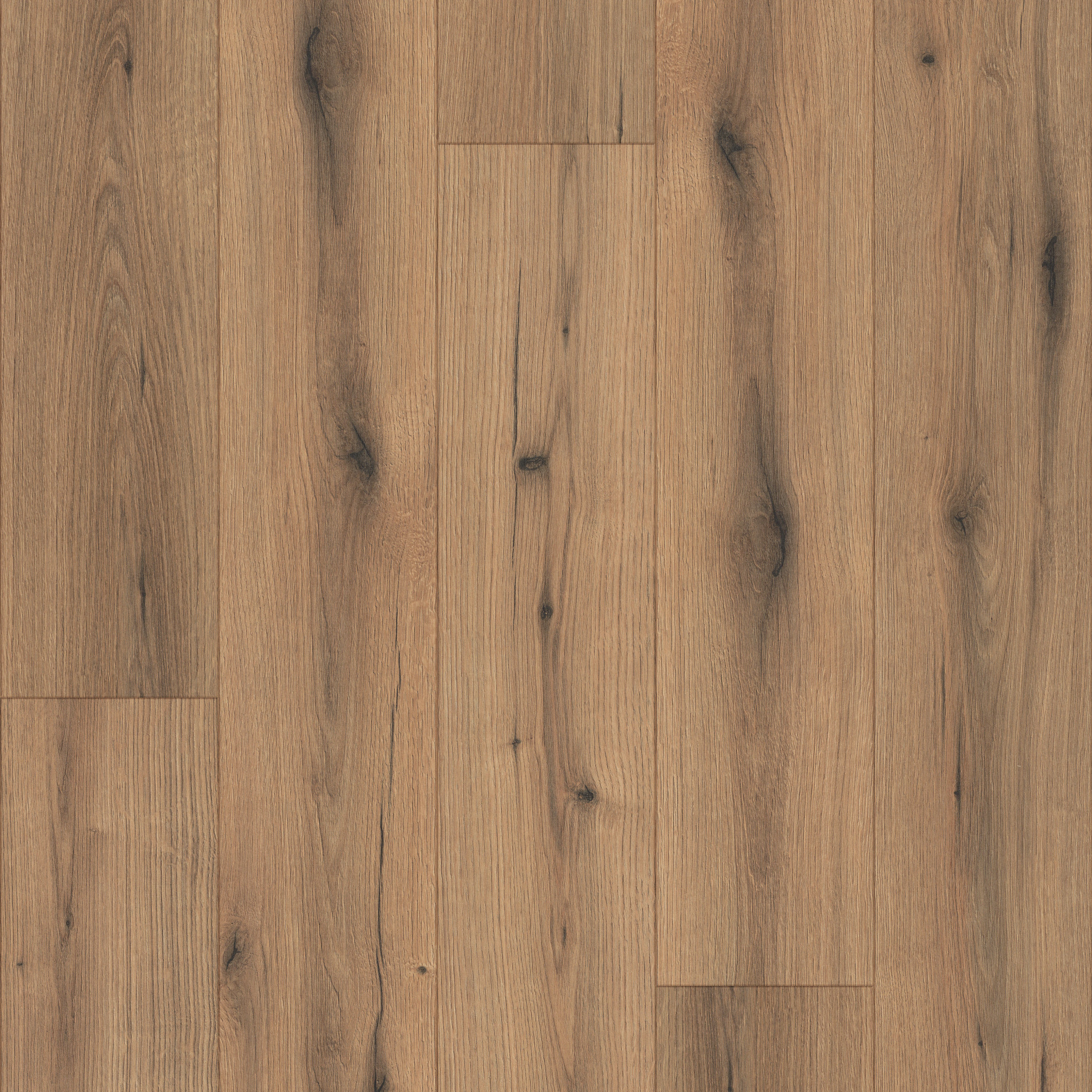 Emergence Plus-Pioneer-HL444_08009