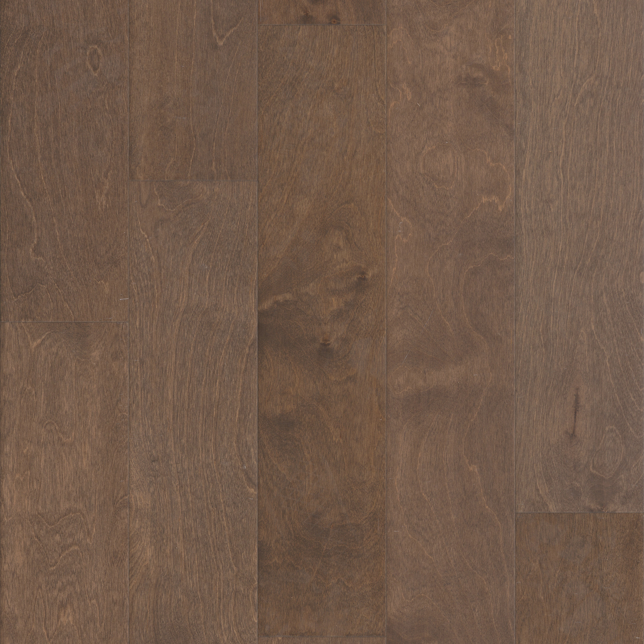 Delray - Low Tide - HW493_17051