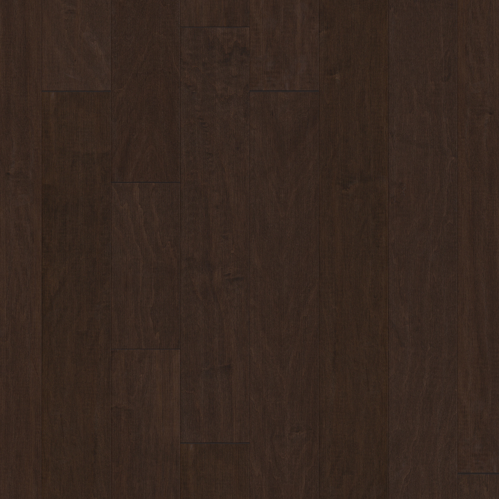 Gulf Breeze-Bayfront-HW591_00493