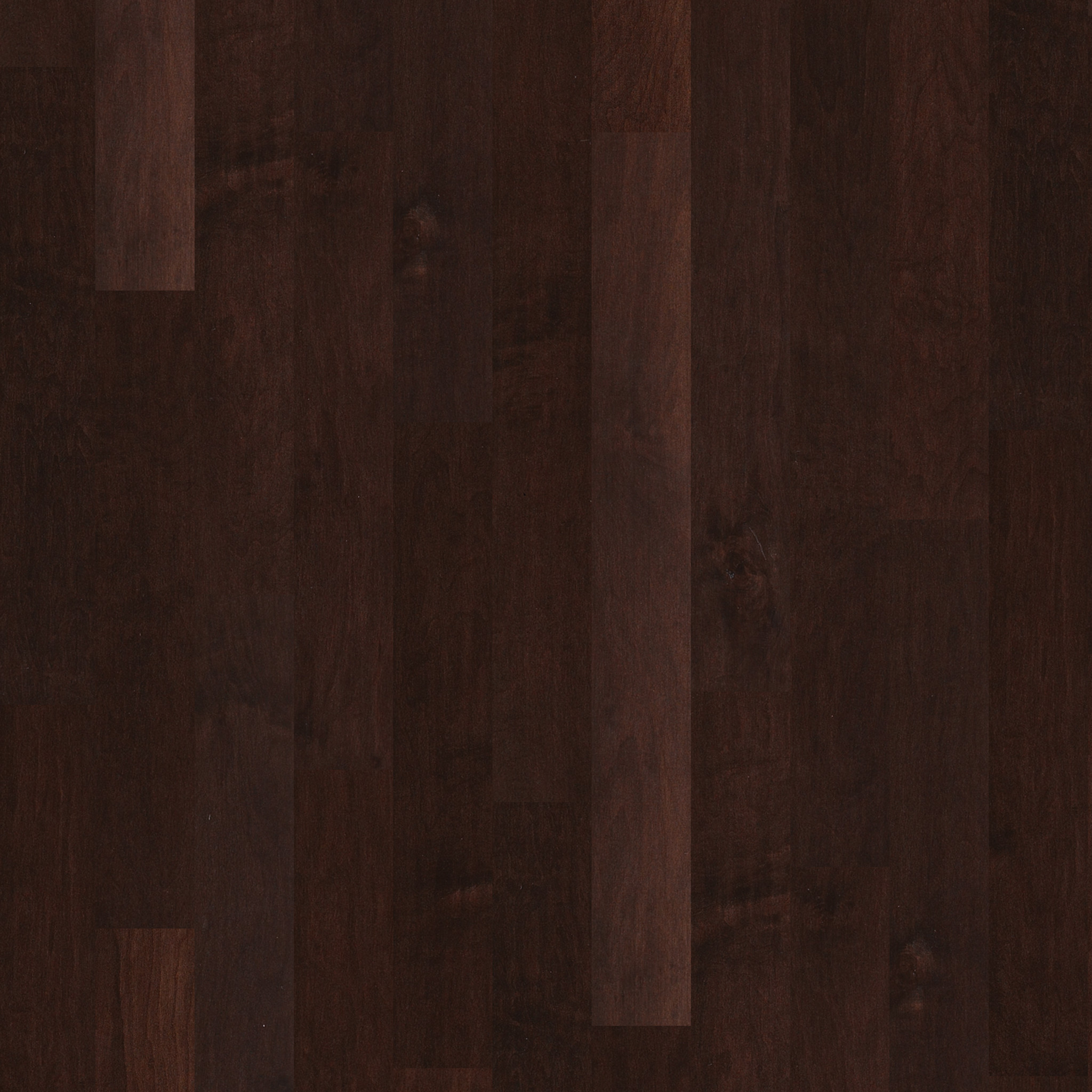 Gulf Breeze-Conway-HW591_00698