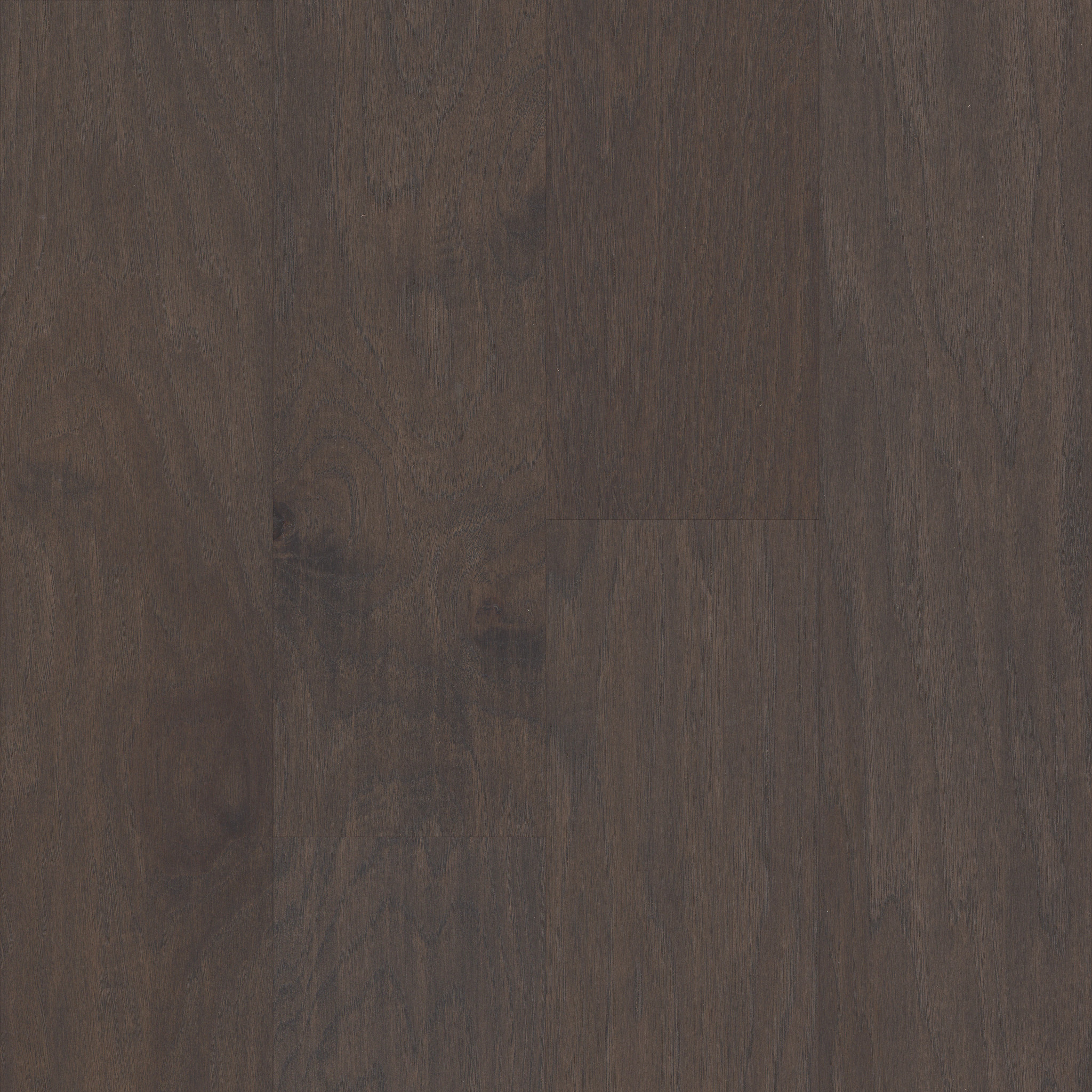 West Valley-Sterling-HW593_05021