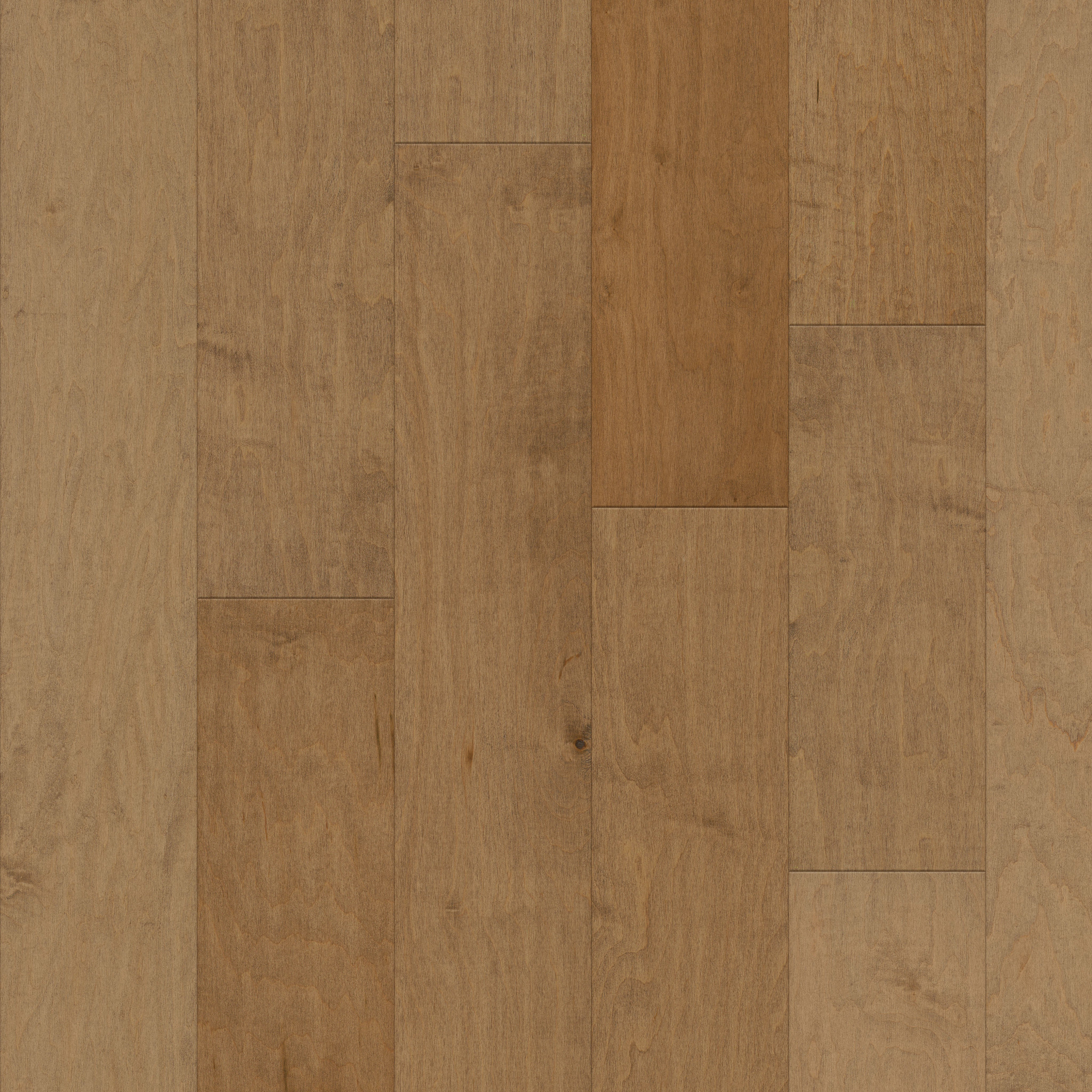 Terrace Maple - Gold Dust - HW594_01001