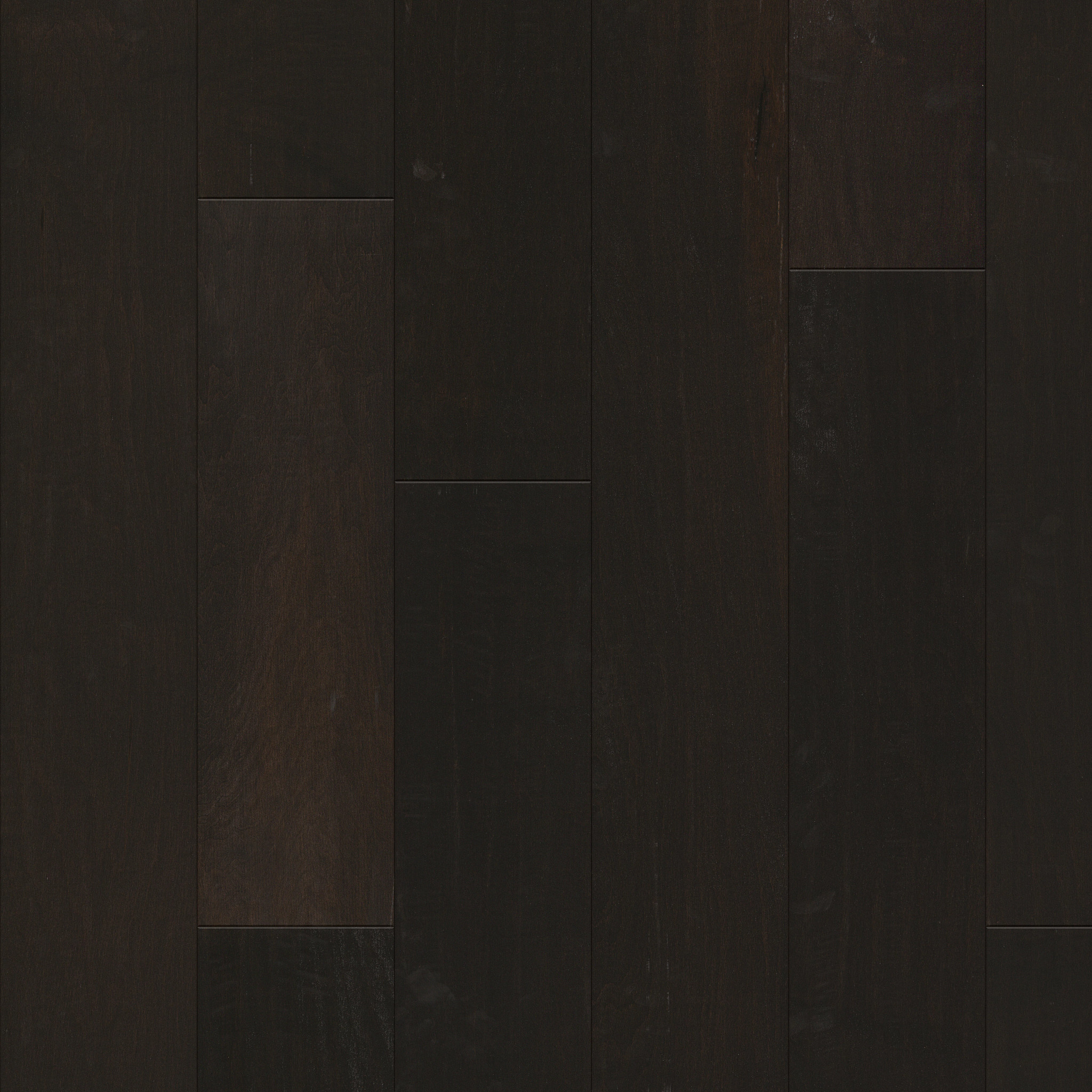 Terrace Maple - Midnight - HW594_09003