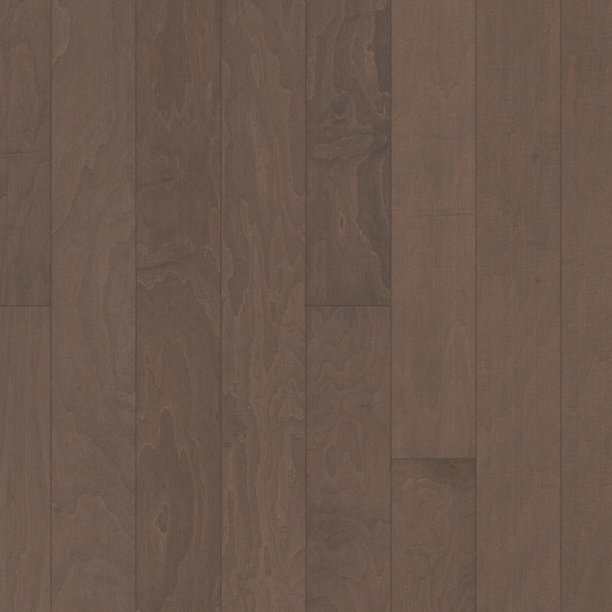 Palm Beach II - Windsurf Lg - HW639_05034