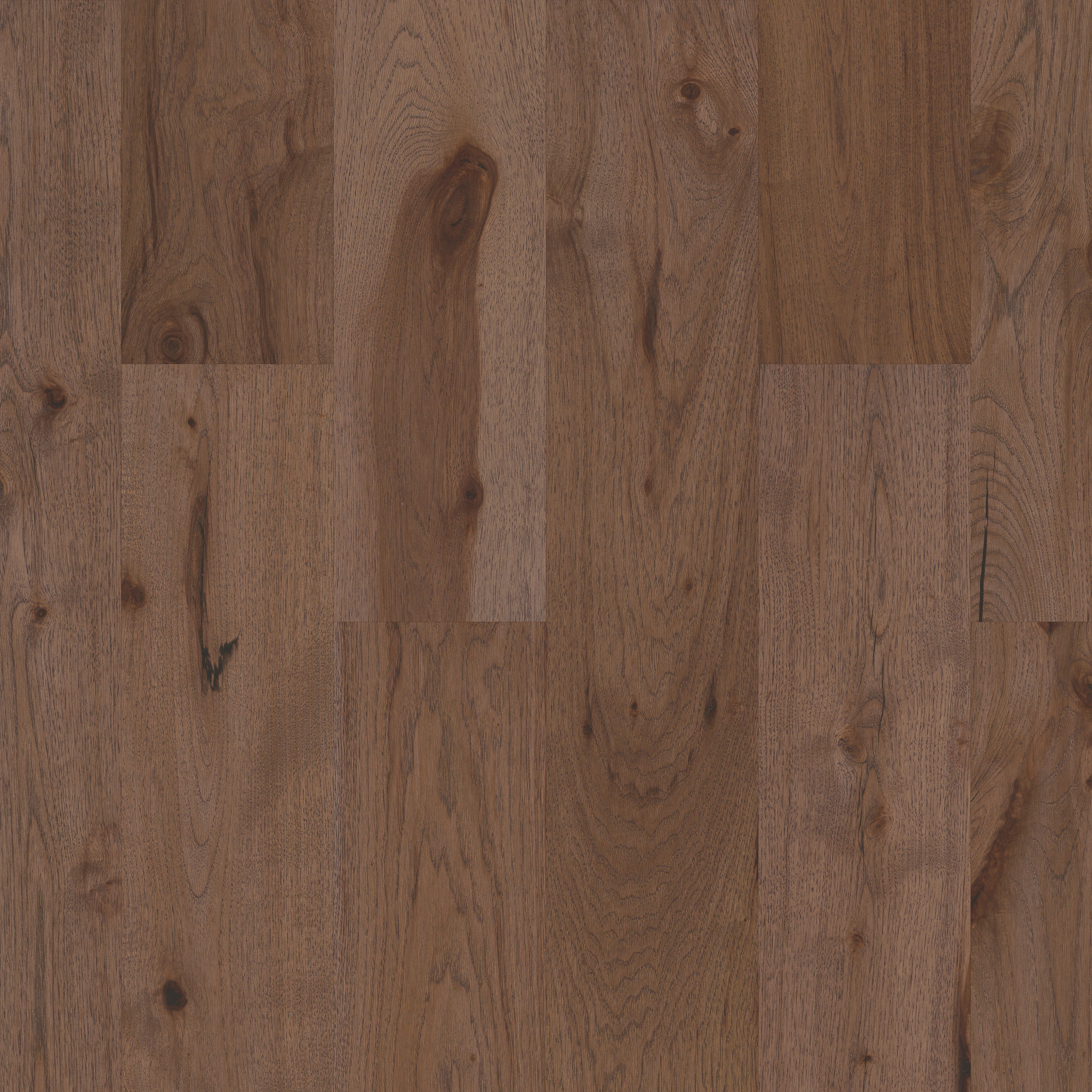 Impressions Hickory - Radiance - HW673_07036