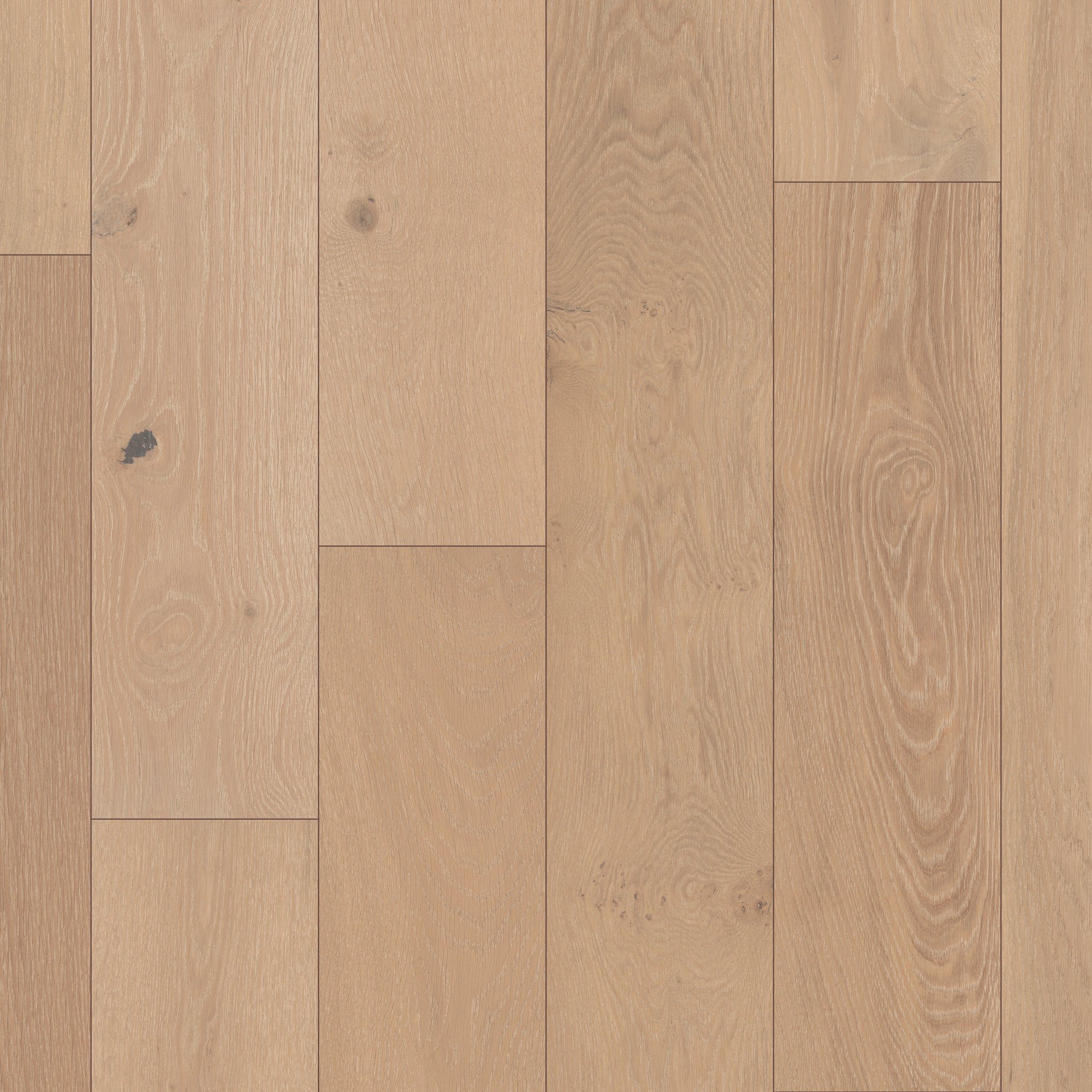 Elegance Oak - Meringue - HW689_01108