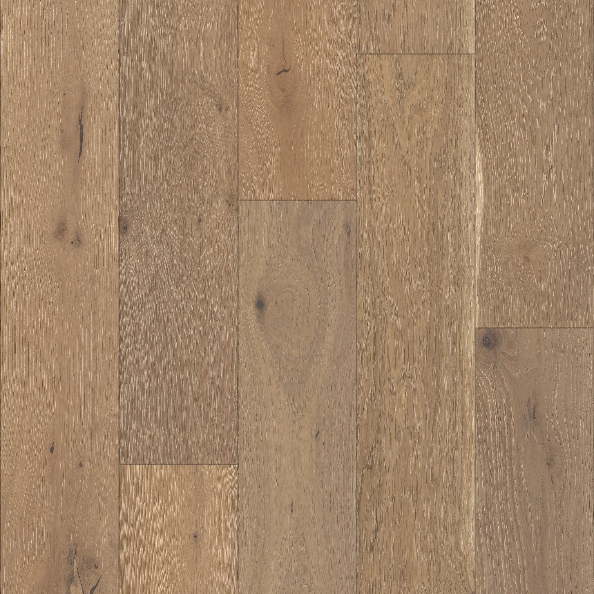 Perspectives-Alla Prima-HW707_01094