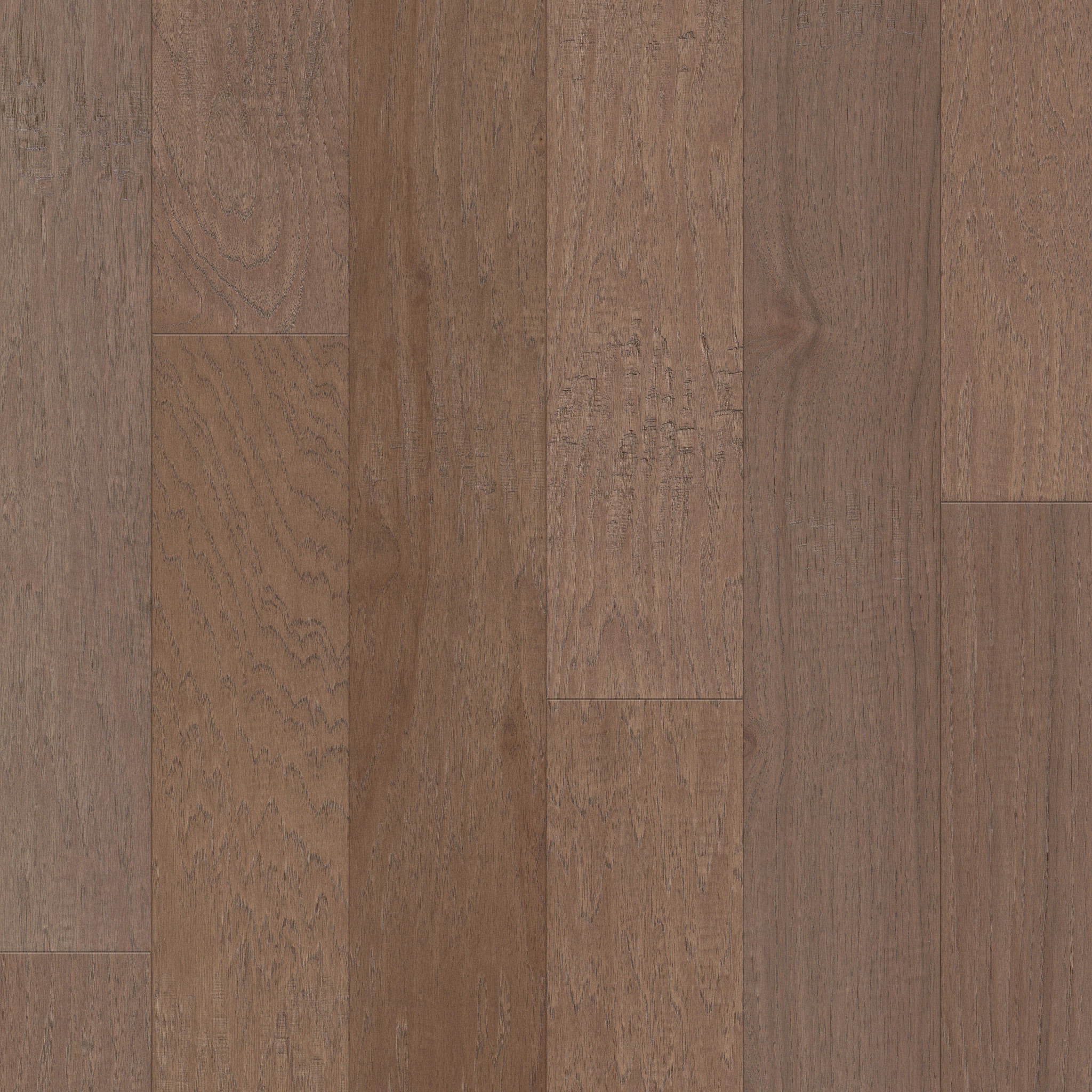 Wayward Hickory 6 3/8