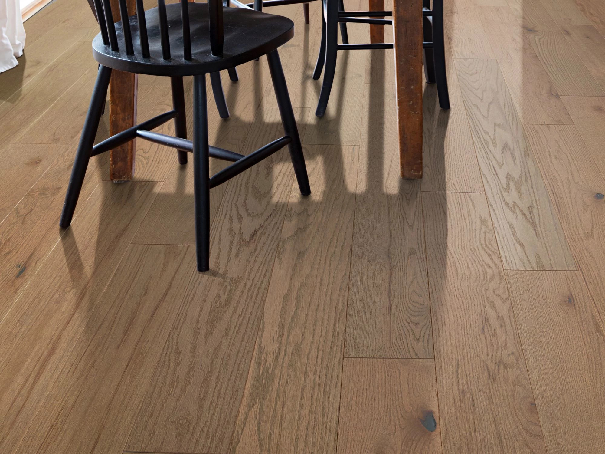 Compass Oak - Canyon - HW737_02058