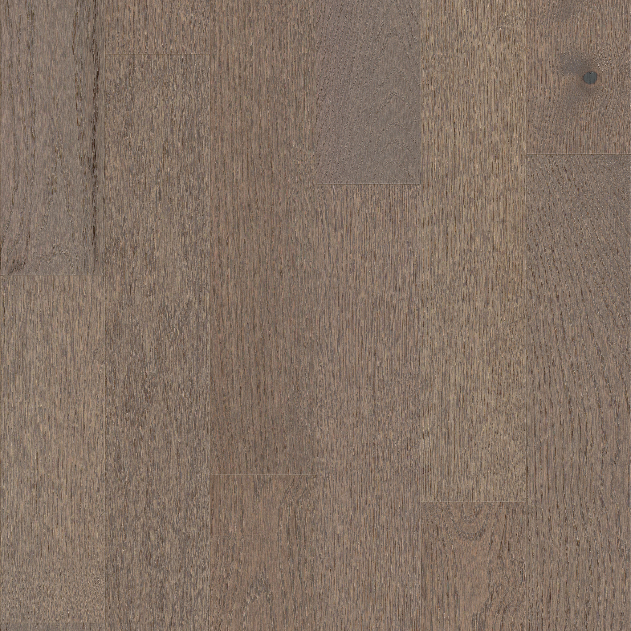 yorktown ashen taupe hardwoods HW746_05105 Shaw Builder Flooring