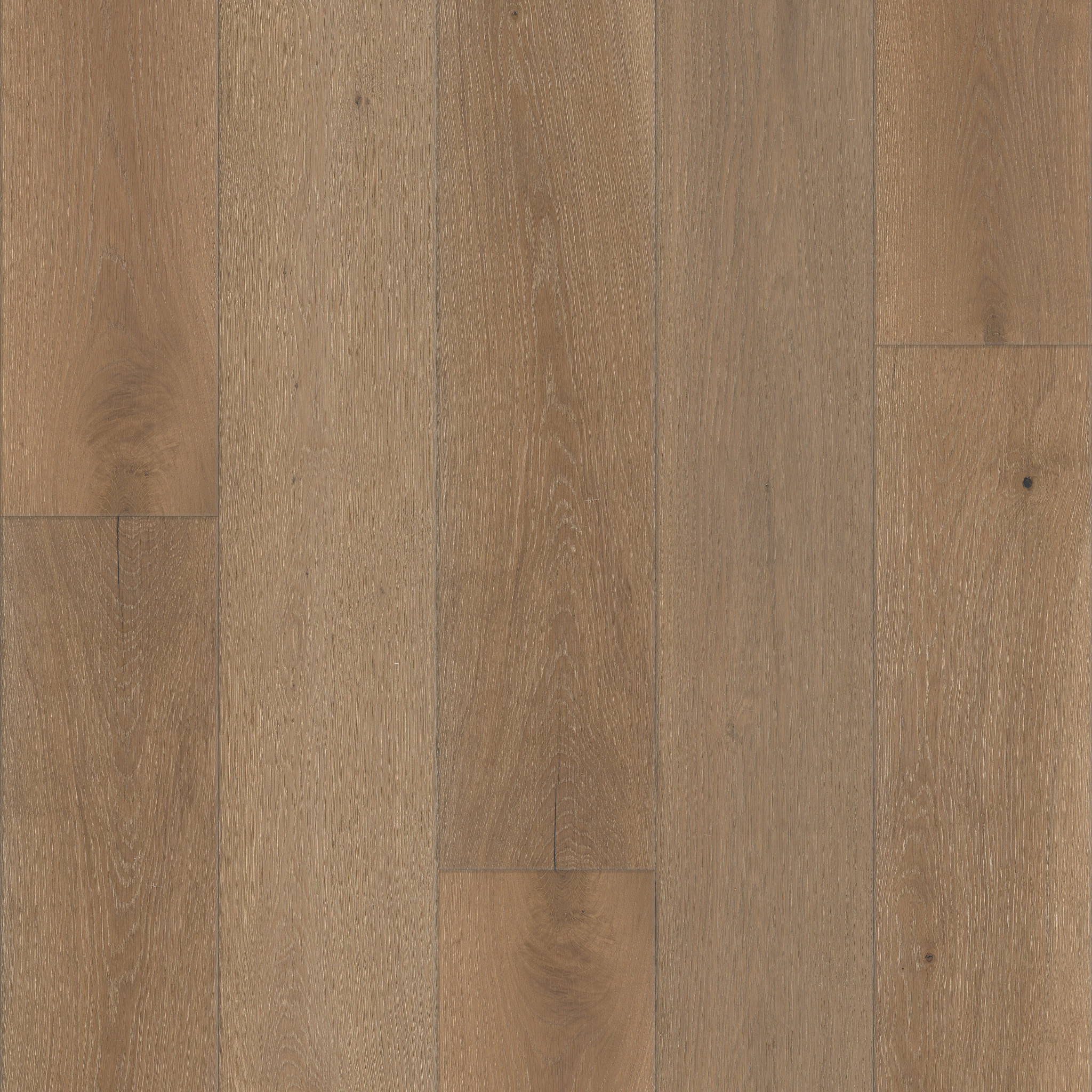 Vista Oak 9.5"-Kinetic-HW754_07107