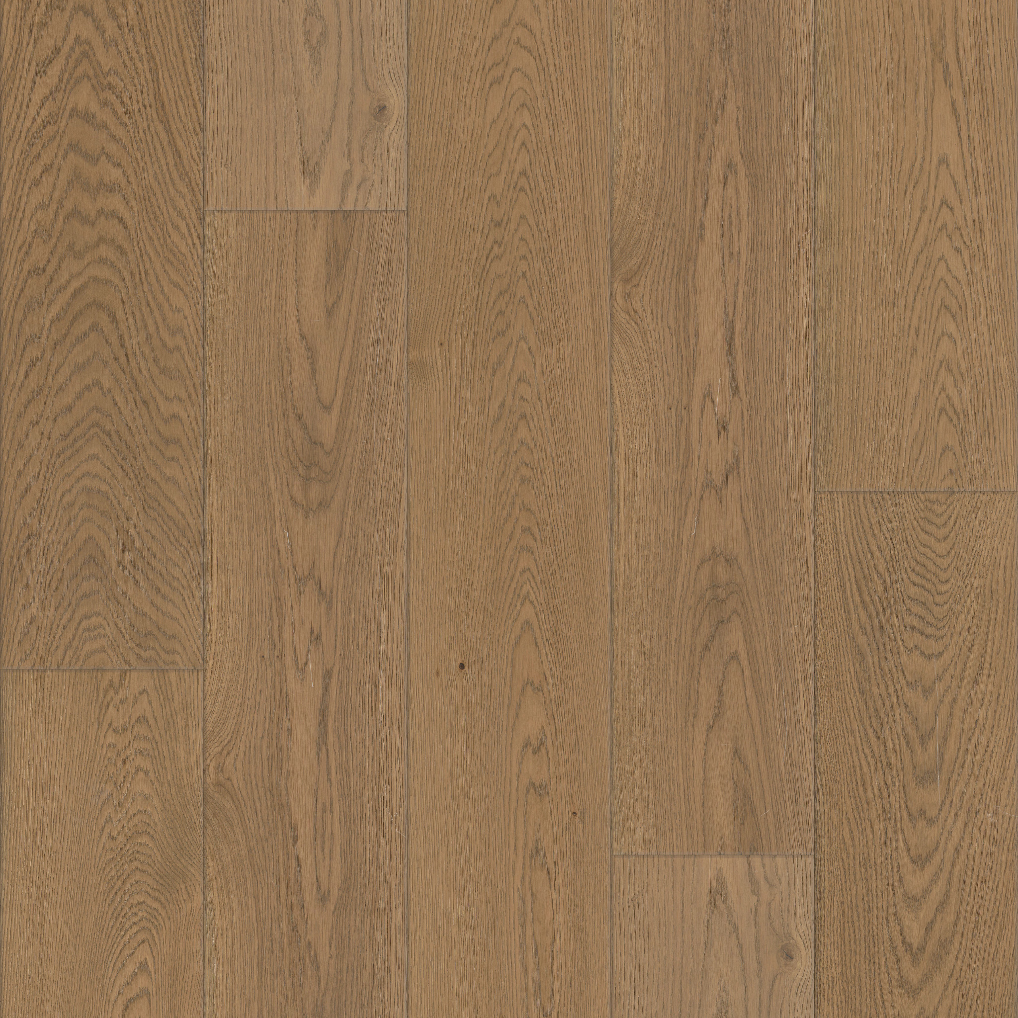 Vista Oak 9.5"-Sustain-HW754_07121