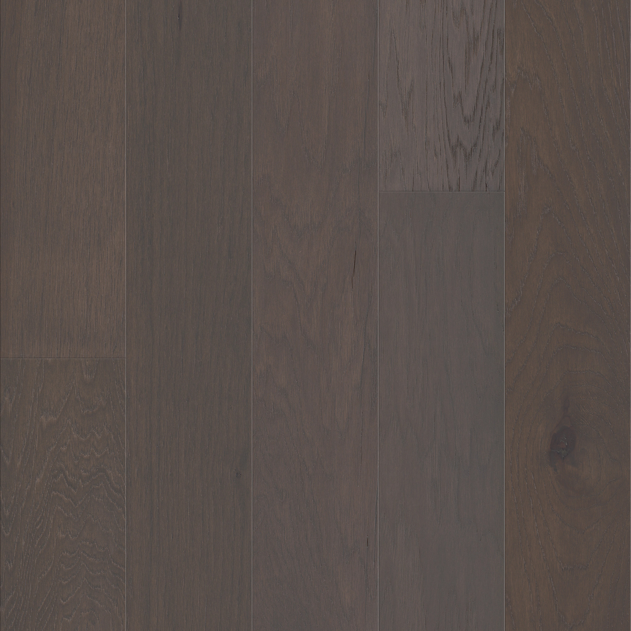 Devonshire II-Fedora-HW762_05104