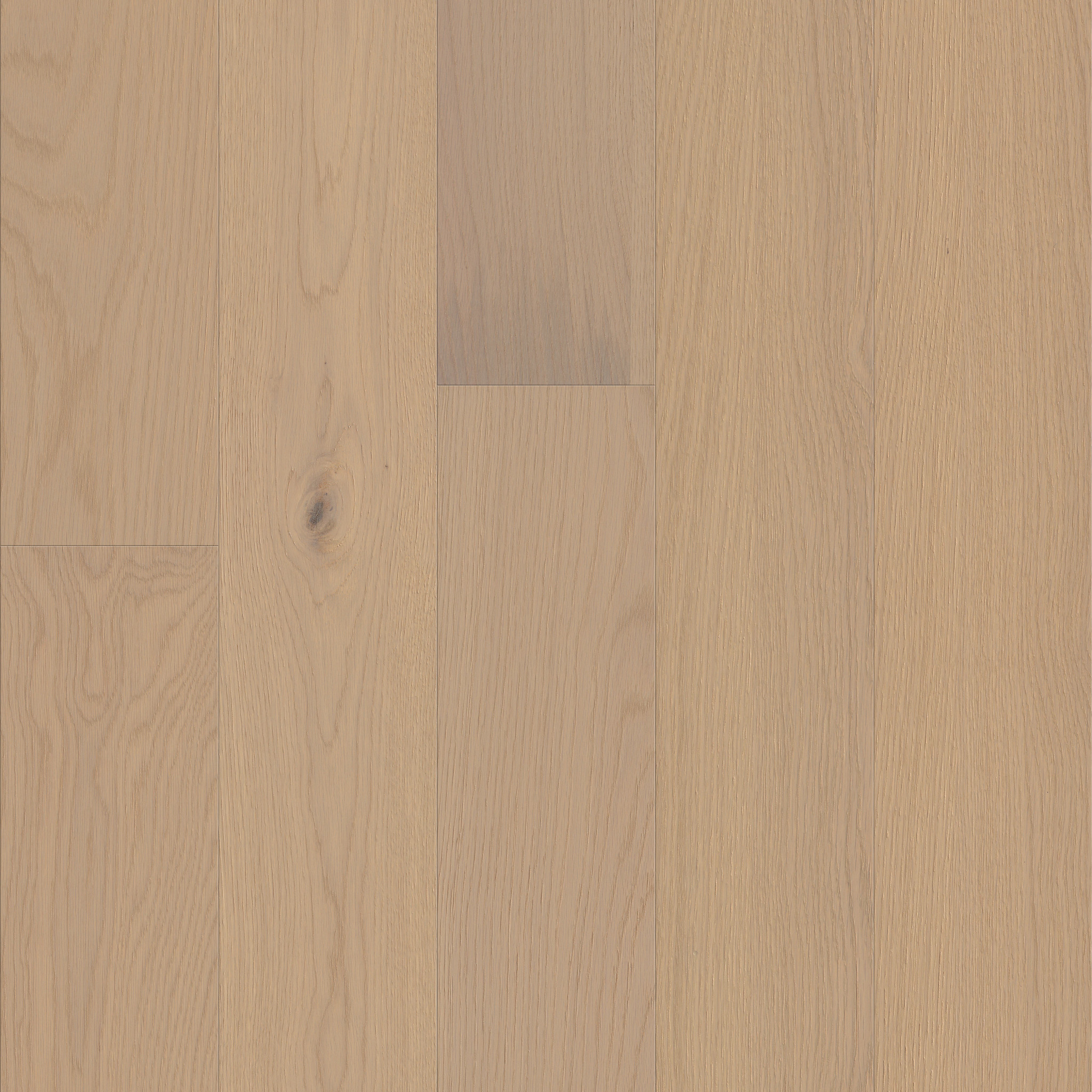 Homeland-Anthem-HW776_01152