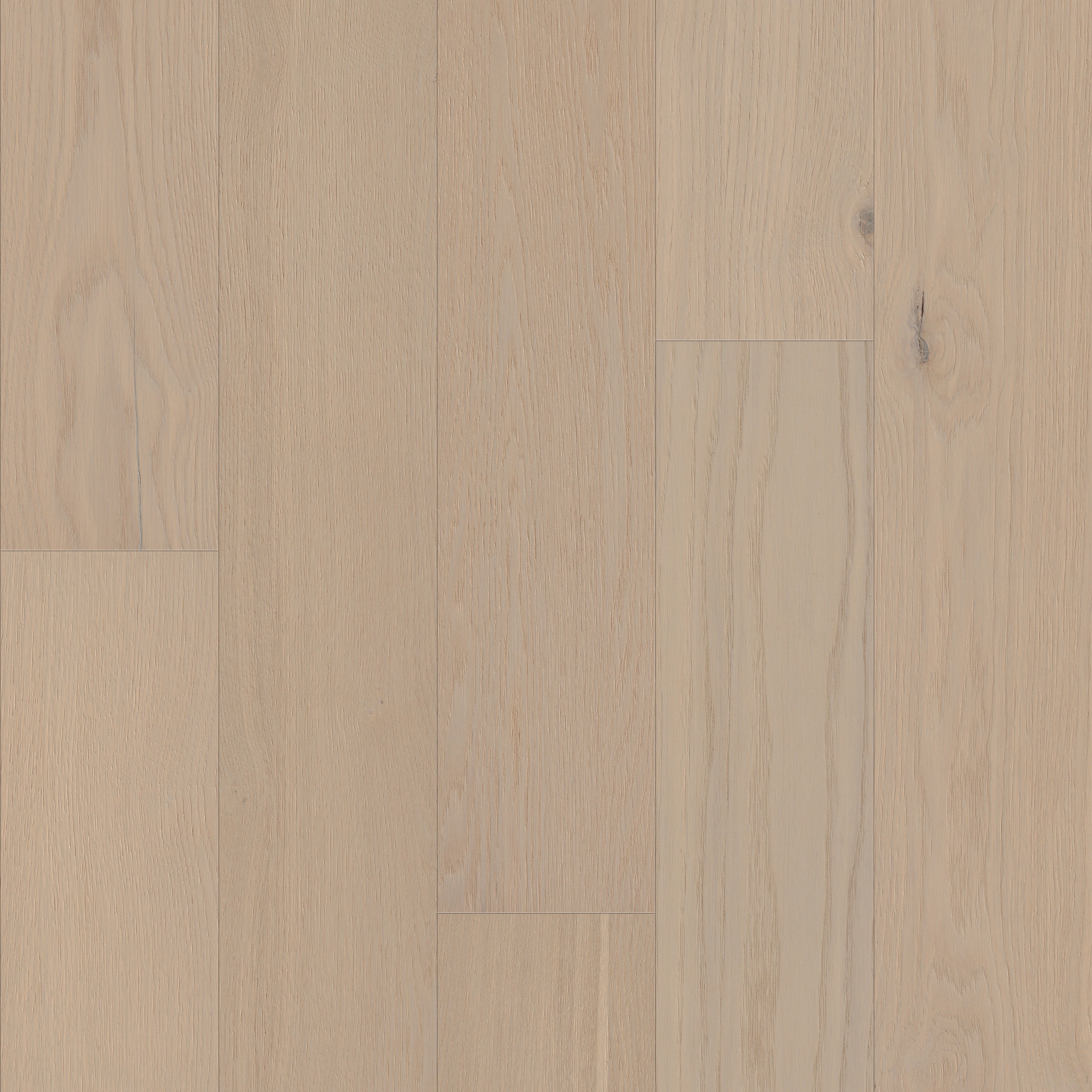 Homeland-Tradition-HW776_01153