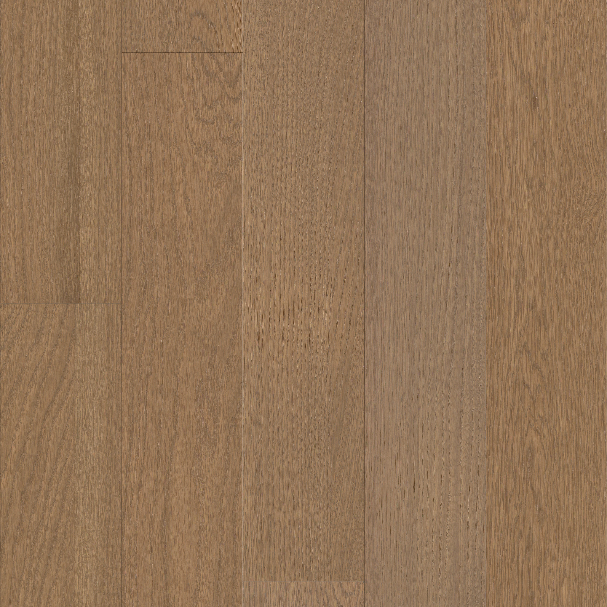 Homeland - Legacy - HW776_07132