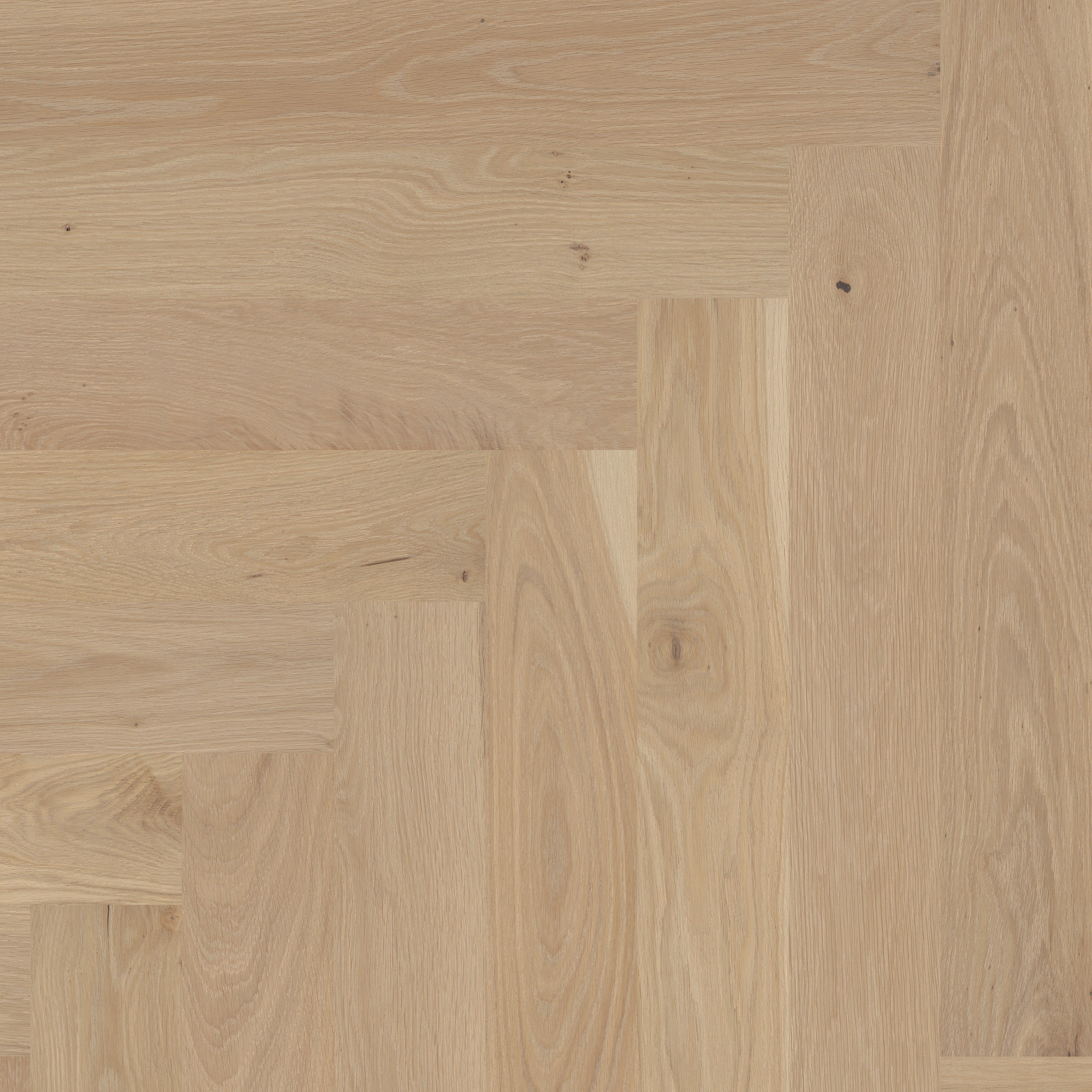 Avignon Herringbone-French Buff-HWAVH_11101