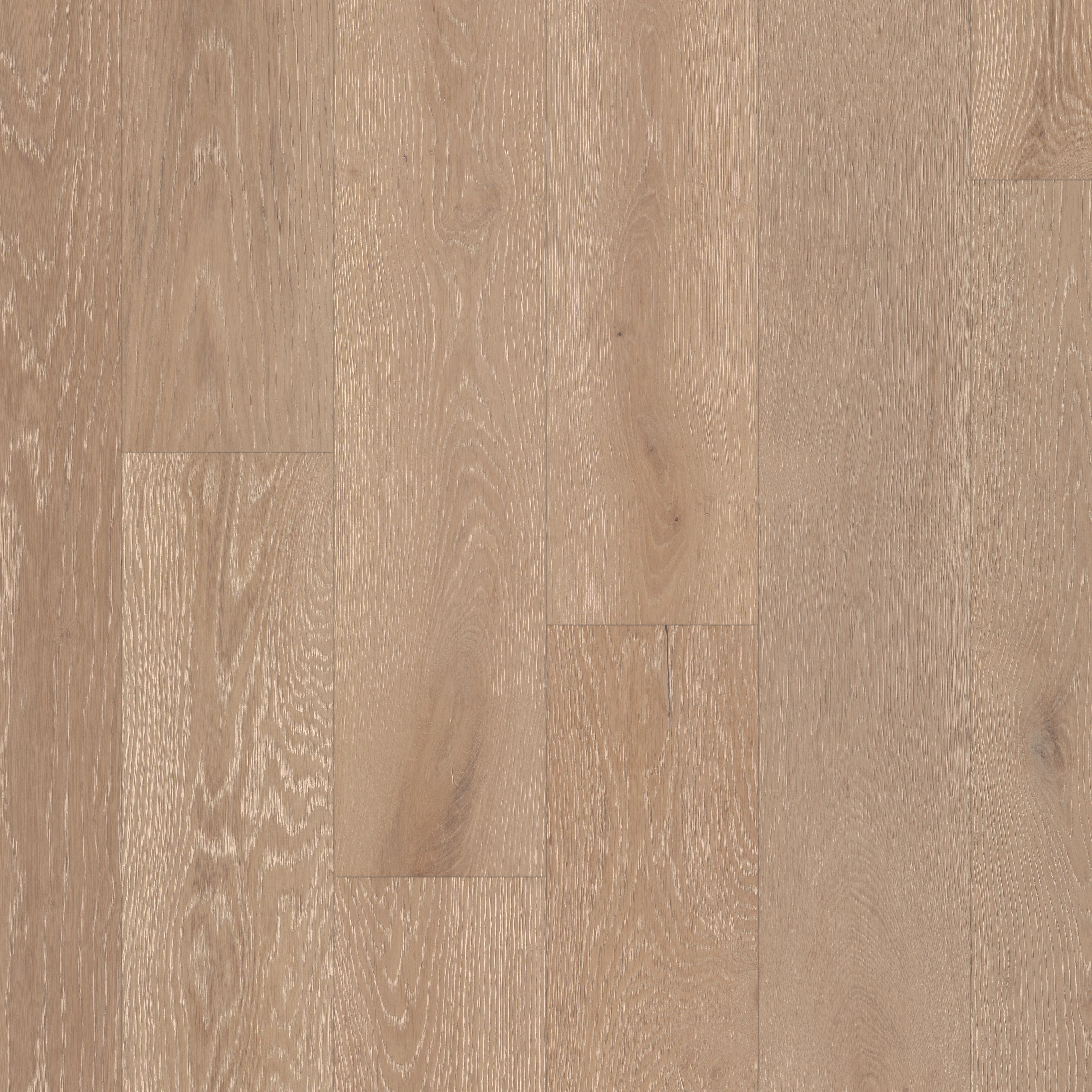 Avignon Plank-French Buff-HWAVP_11101