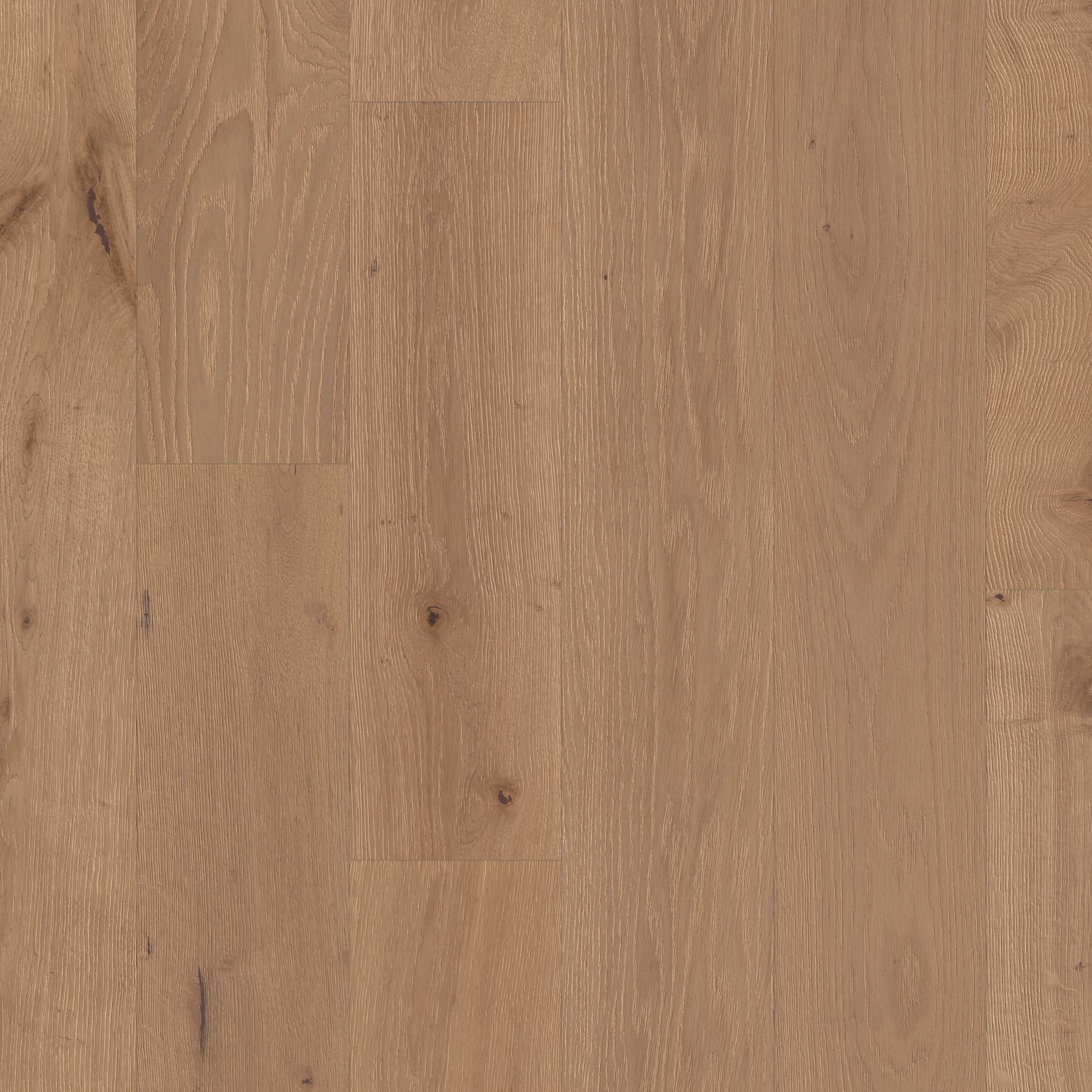 Avignon Plank-Fawn-HWAVP_17065