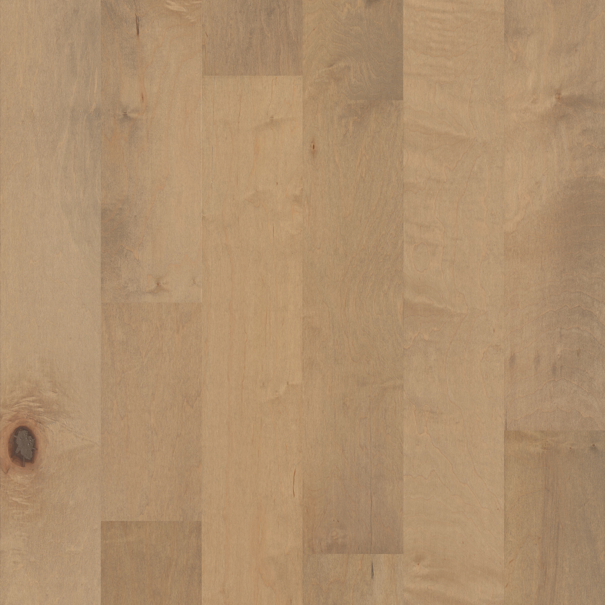 Corrigan Maple II - Charismatic - HWCM2_11052