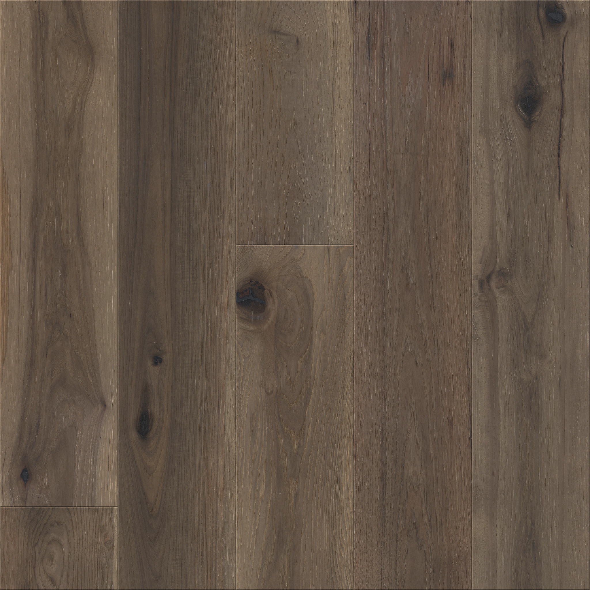 Intuition-Elevation-HWINT_15036