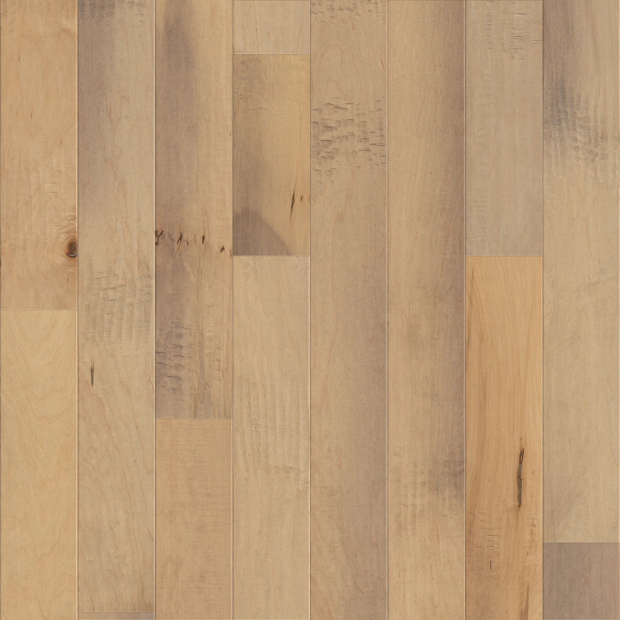 Julian Maple II - San Primo - HWJMD_11075