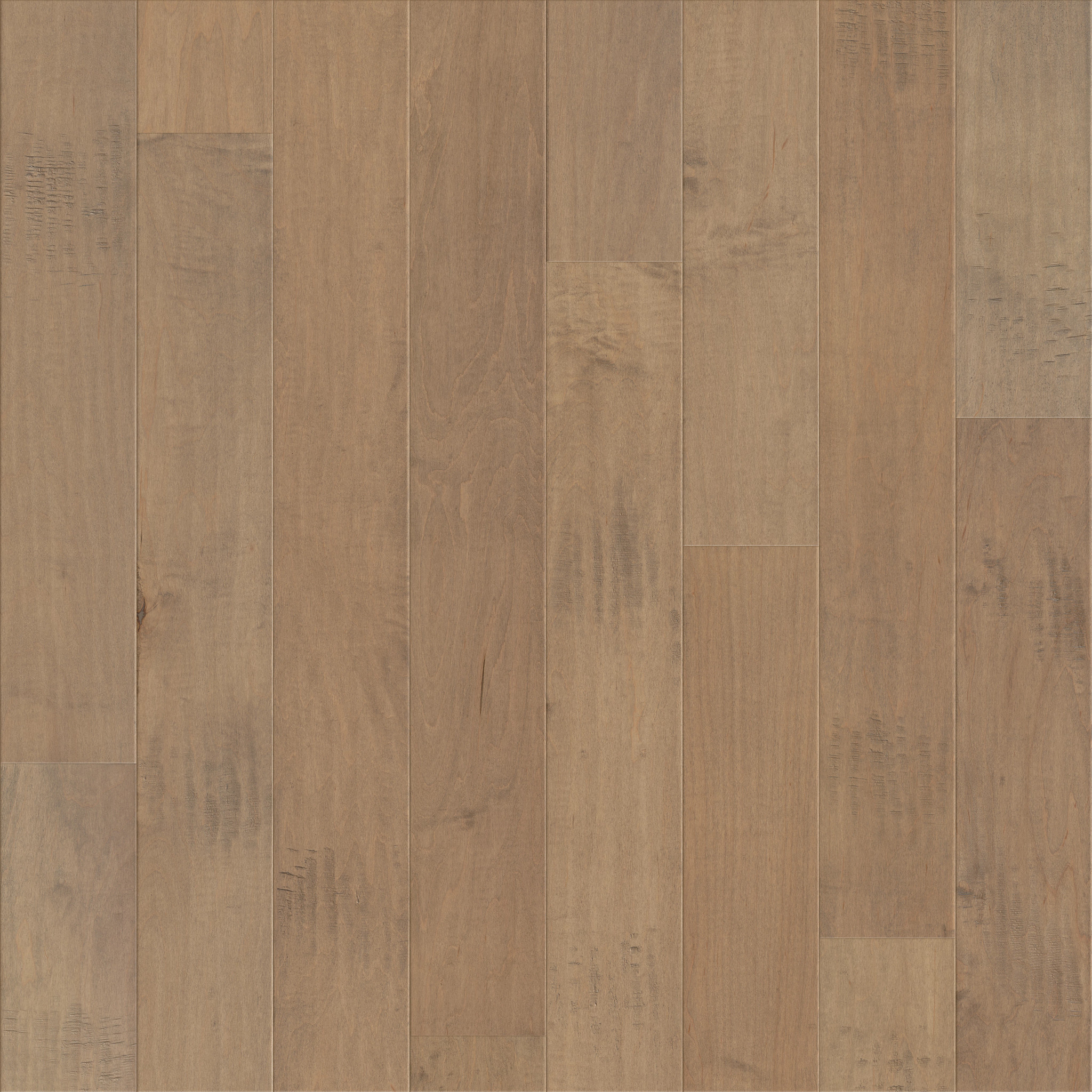 Julian Maple II-Lema-HWJMD_11076