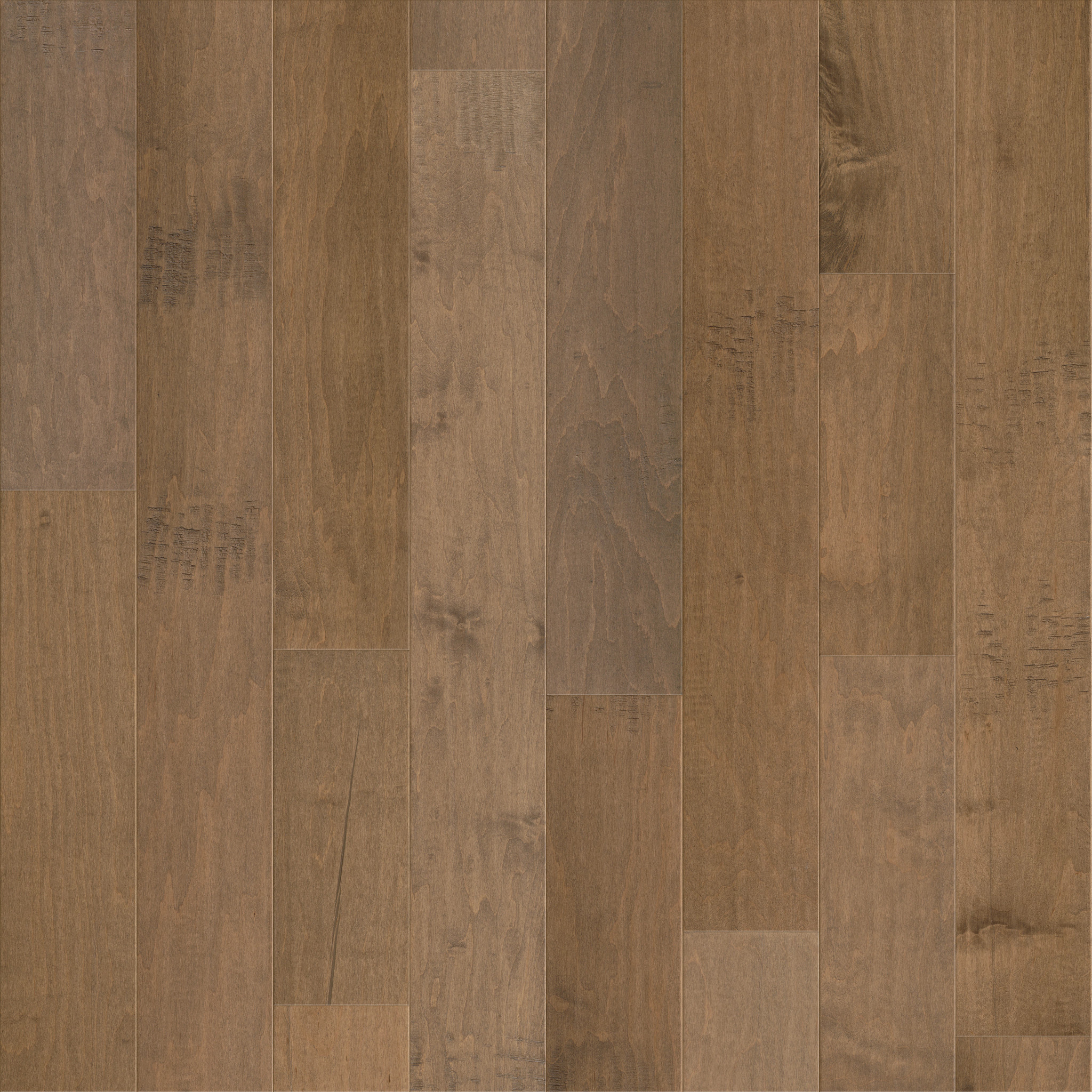 Julian Maple II-Canzo-HWJMD_17056