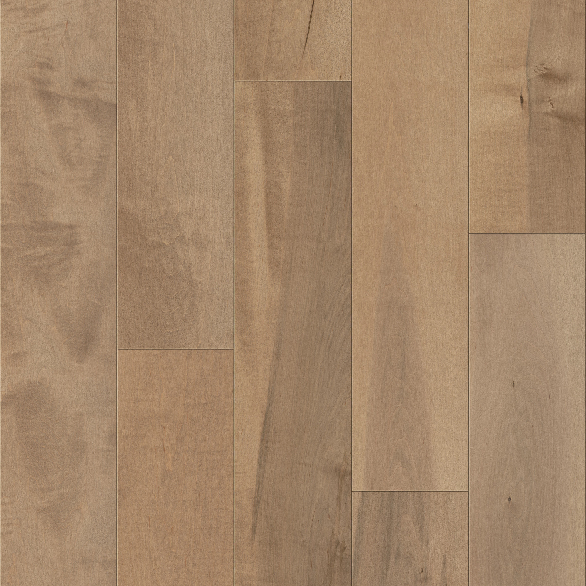 Melodic II - Ovation - HWML2_11072