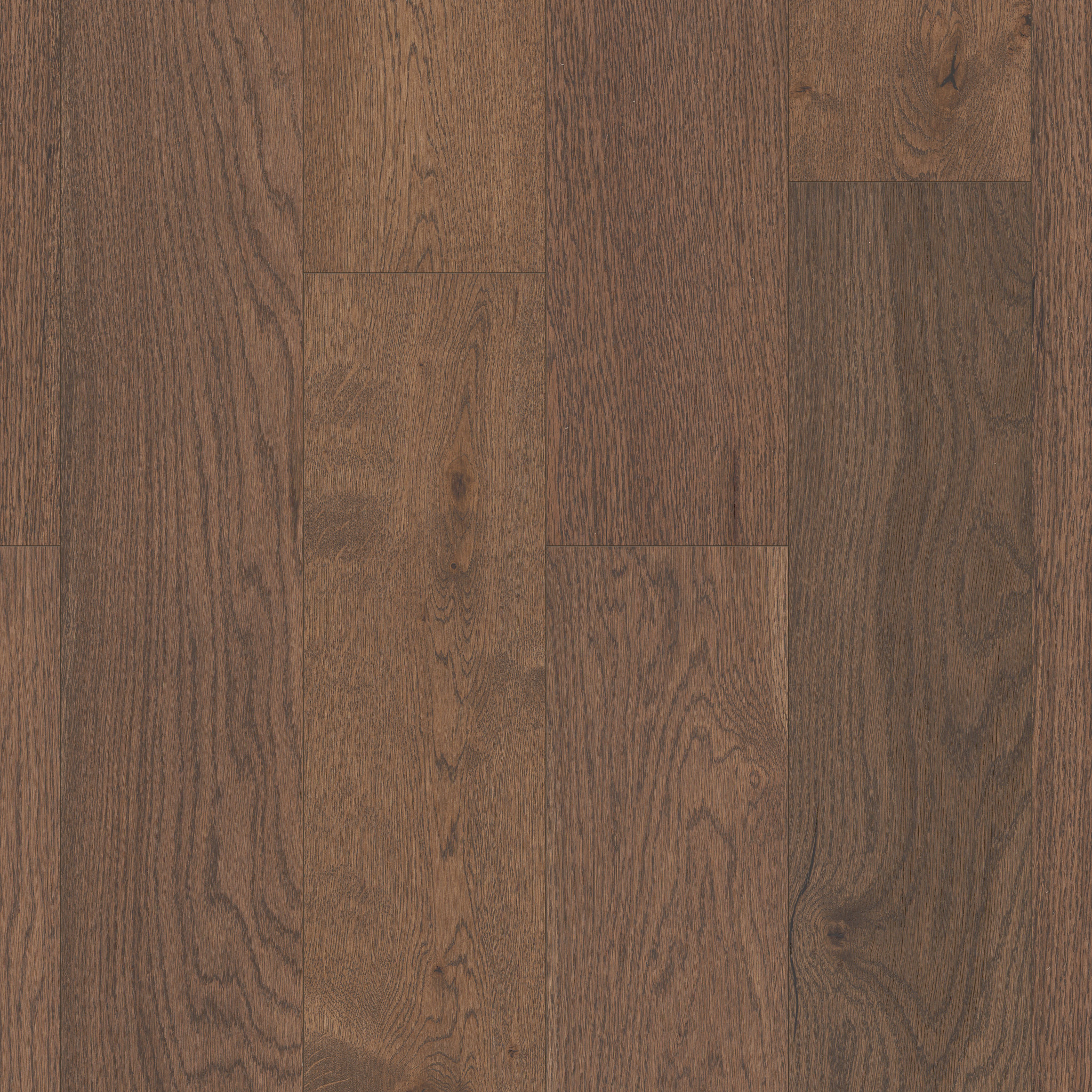 Newbury II - Wales - HWNB2_12011