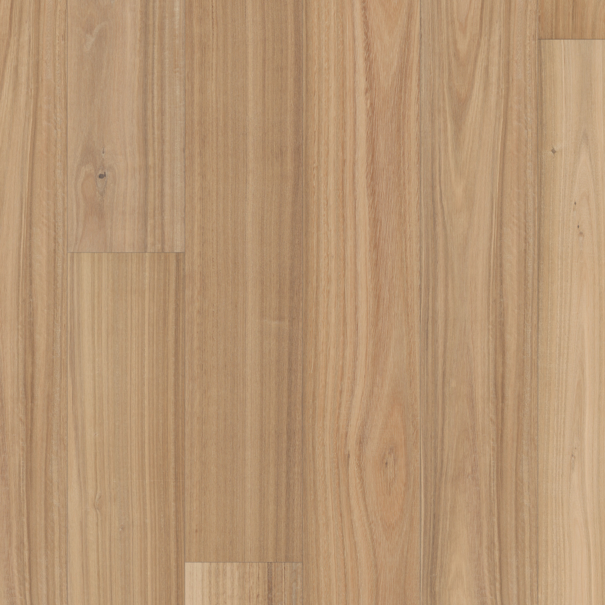 Valencia Walnut - Alabaster - HWSRW_11111