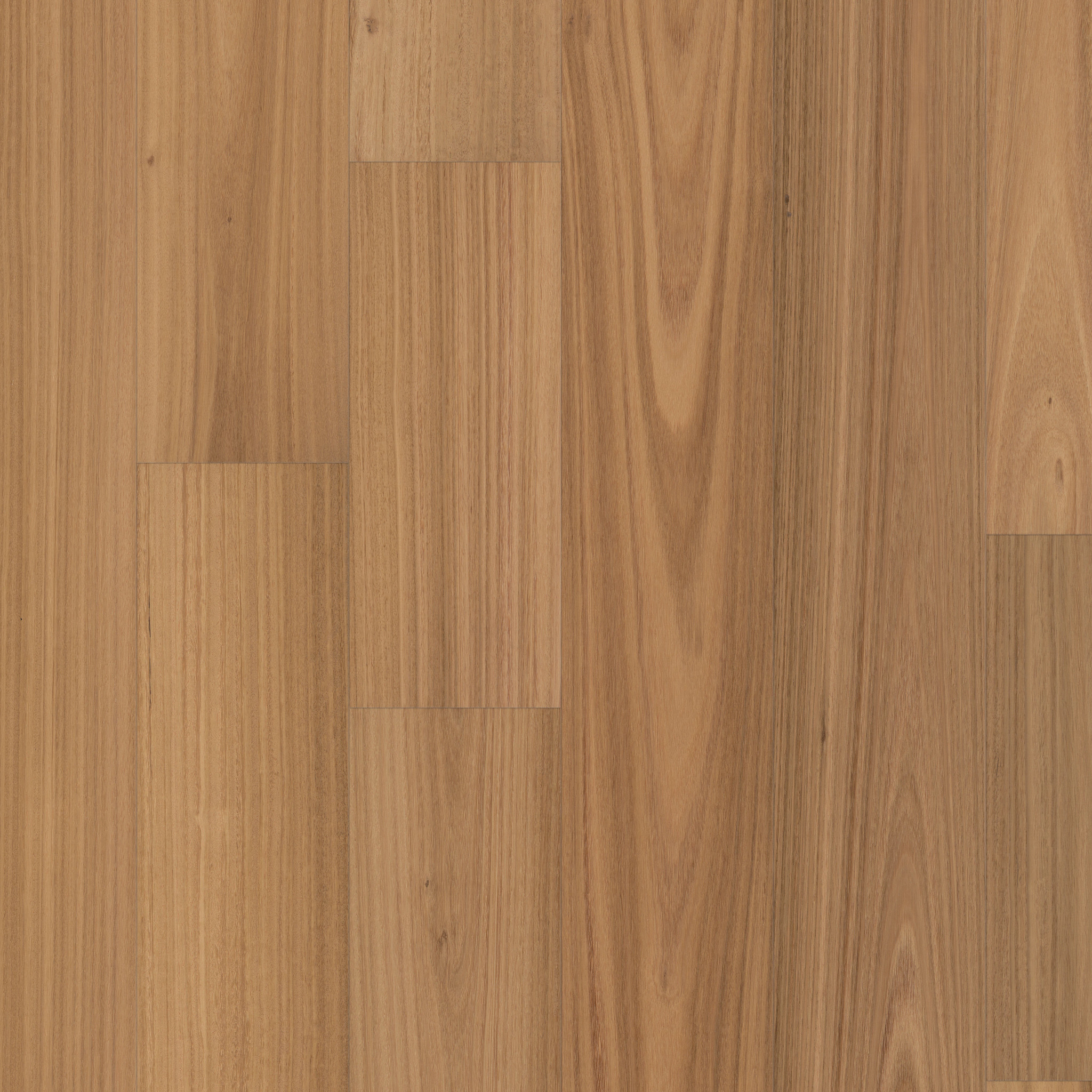 Valencia Walnut-Sesame-HWSRW_12030