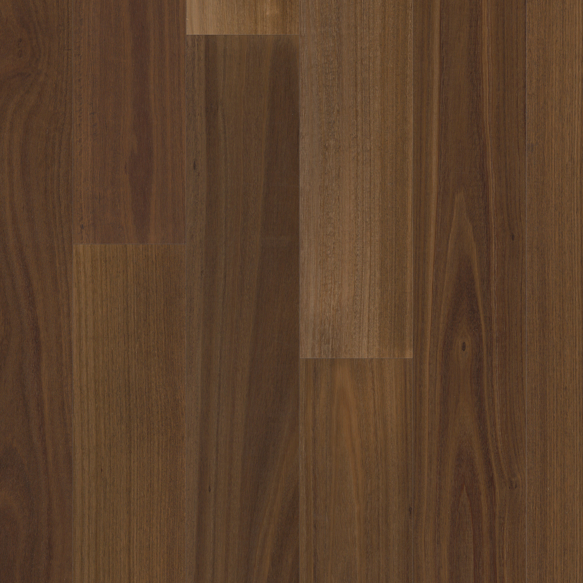 Valencia Walnut-Raw Umber-HWSRW_17068
