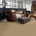 BAYTOWNE-III-30-J0064-BISCOTTI-65115-room-image