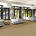 BAYTOWNE-III-30-J0064-BISCOTTI-65115-room-image